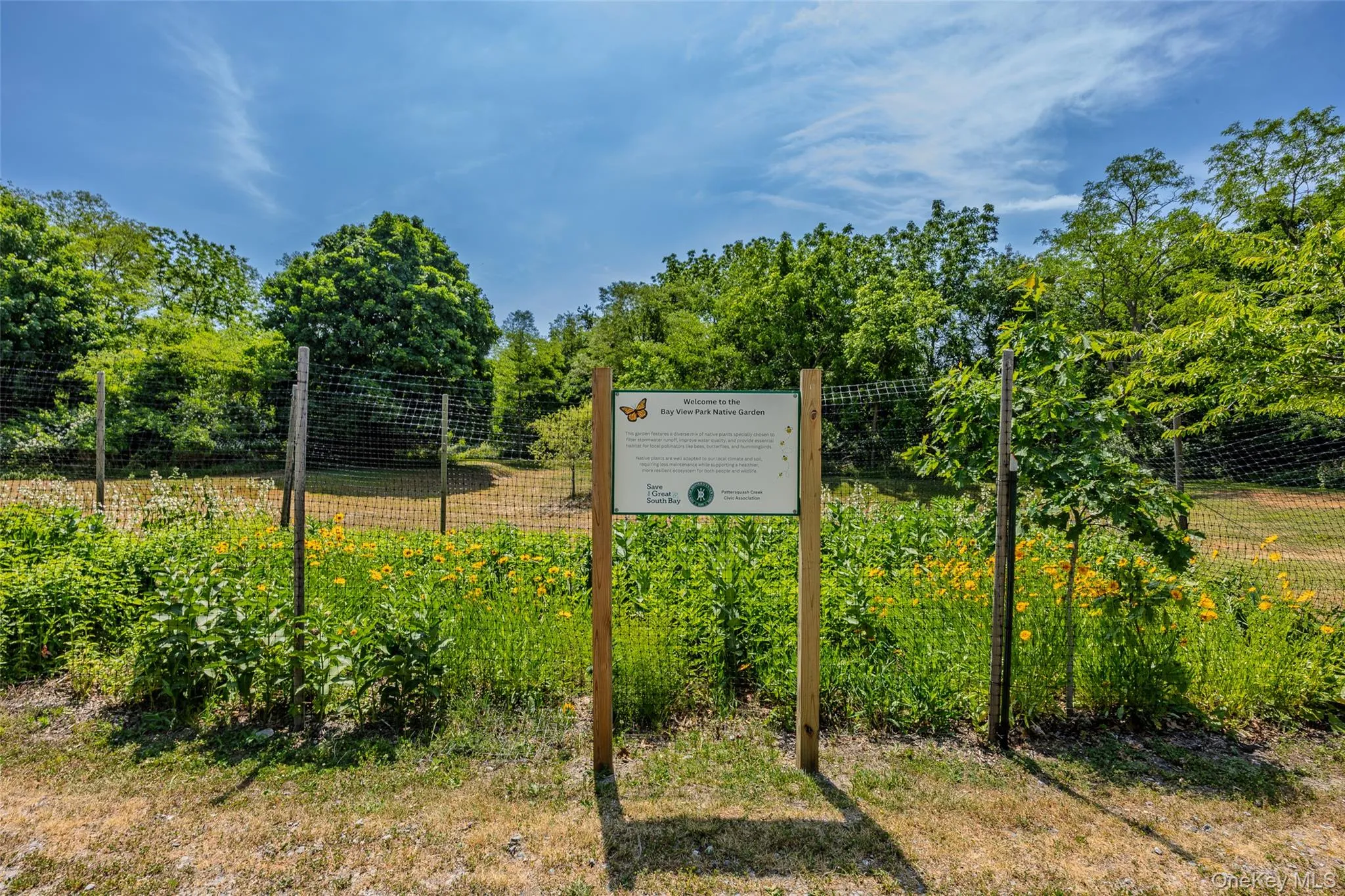 Local Park near by Local Park near by