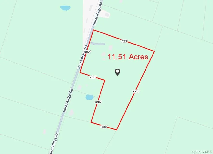 239 Burnt Ridge Road, Fallsburg, NY, 4 Bedrooms Bedrooms, 9 Rooms Rooms,2 BathroomsBathrooms,Residential,For Rent,Burnt Ridge,0,1016492 239 Burnt Ridge Road, Fallsburg, NY, 4 Bedrooms Bedrooms, 9 Rooms Rooms,2 BathroomsBathrooms,Residential,For Rent,Burnt Ridge,0,1016492