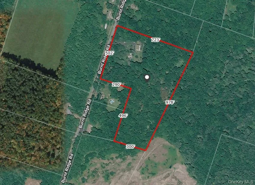 239 Burnt Ridge Road, Fallsburg, NY, 4 Bedrooms Bedrooms, 9 Rooms Rooms,2 BathroomsBathrooms,Residential,For Rent,Burnt Ridge,0,1016492 239 Burnt Ridge Road, Fallsburg, NY, 4 Bedrooms Bedrooms, 9 Rooms Rooms,2 BathroomsBathrooms,Residential,For Rent,Burnt Ridge,0,1016492