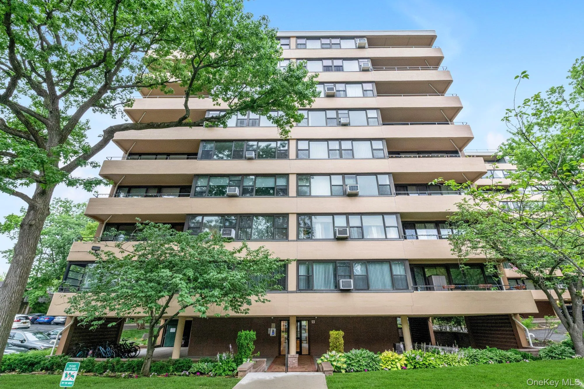 10-24 166 St. Street, New York, NY, 1 Bedroom Bedrooms, 3 Rooms Rooms,1 BathroomBathrooms,Residential,For Rent,166 St.,0,1016512 10-24 166 St. Street, New York, NY, 1 Bedroom Bedrooms, 3 Rooms Rooms,1 BathroomBathrooms,Residential,For Rent,166 St.,0,1016512