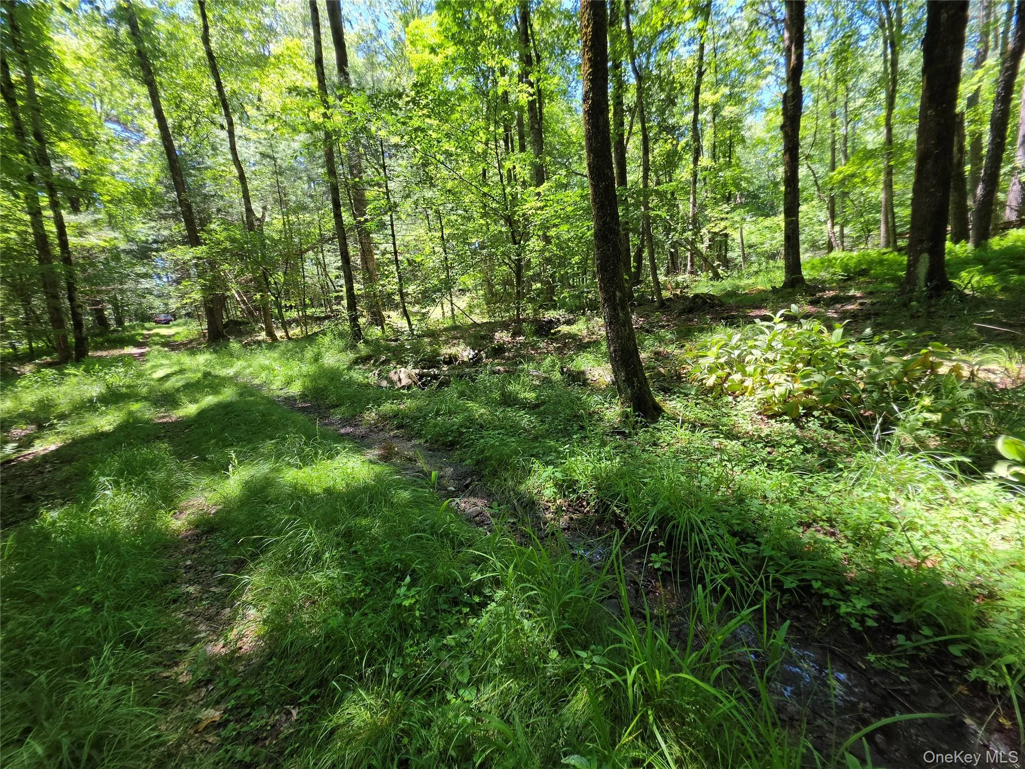 TBD Camp Kennybrook Road, Thompson, NY, ,Land,For Rent,Camp Kennybrook,0,1016537 TBD Camp Kennybrook Road, Thompson, NY, ,Land,For Rent,Camp Kennybrook,0,1016537
