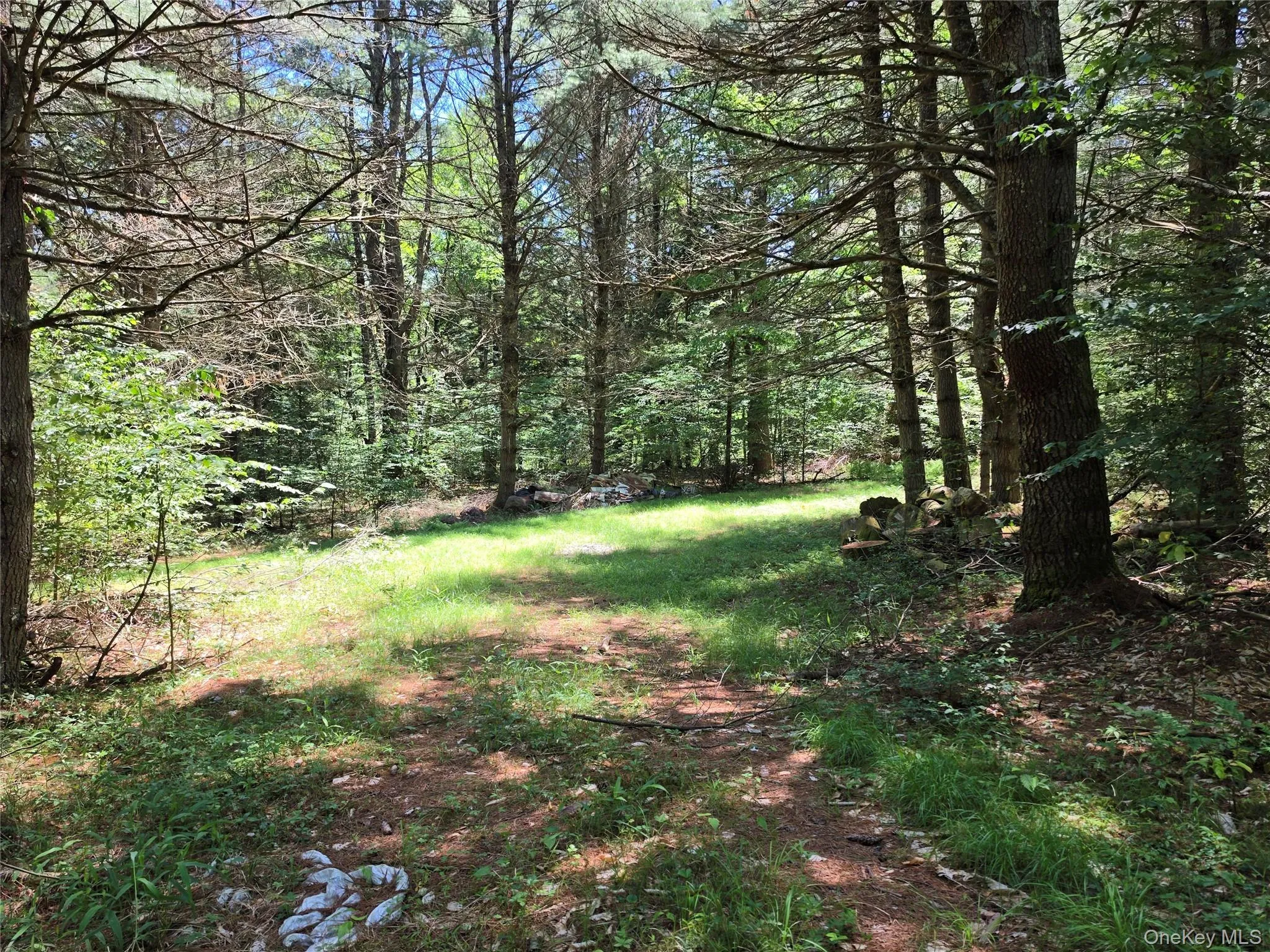 TBD Camp Kennybrook Road, Thompson, NY, ,Land,For Rent,Camp Kennybrook,0,1016537 TBD Camp Kennybrook Road, Thompson, NY, ,Land,For Rent,Camp Kennybrook,0,1016537