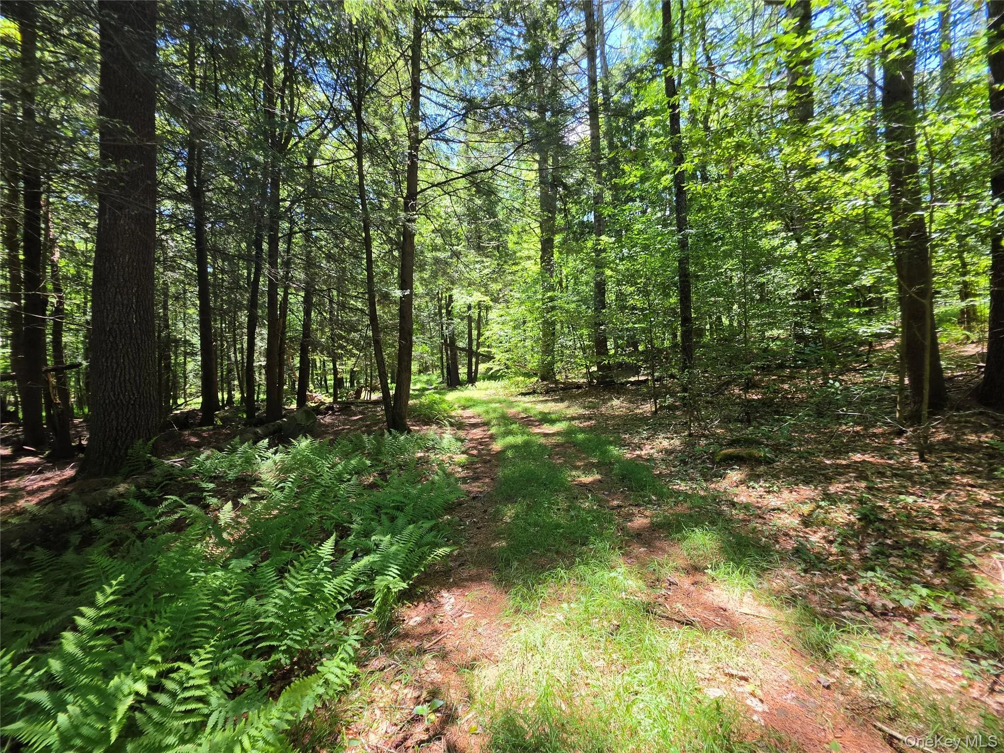 TBD Camp Kennybrook Road, Thompson, NY, ,Land,For Rent,Camp Kennybrook,0,1016537 TBD Camp Kennybrook Road, Thompson, NY, ,Land,For Rent,Camp Kennybrook,0,1016537
