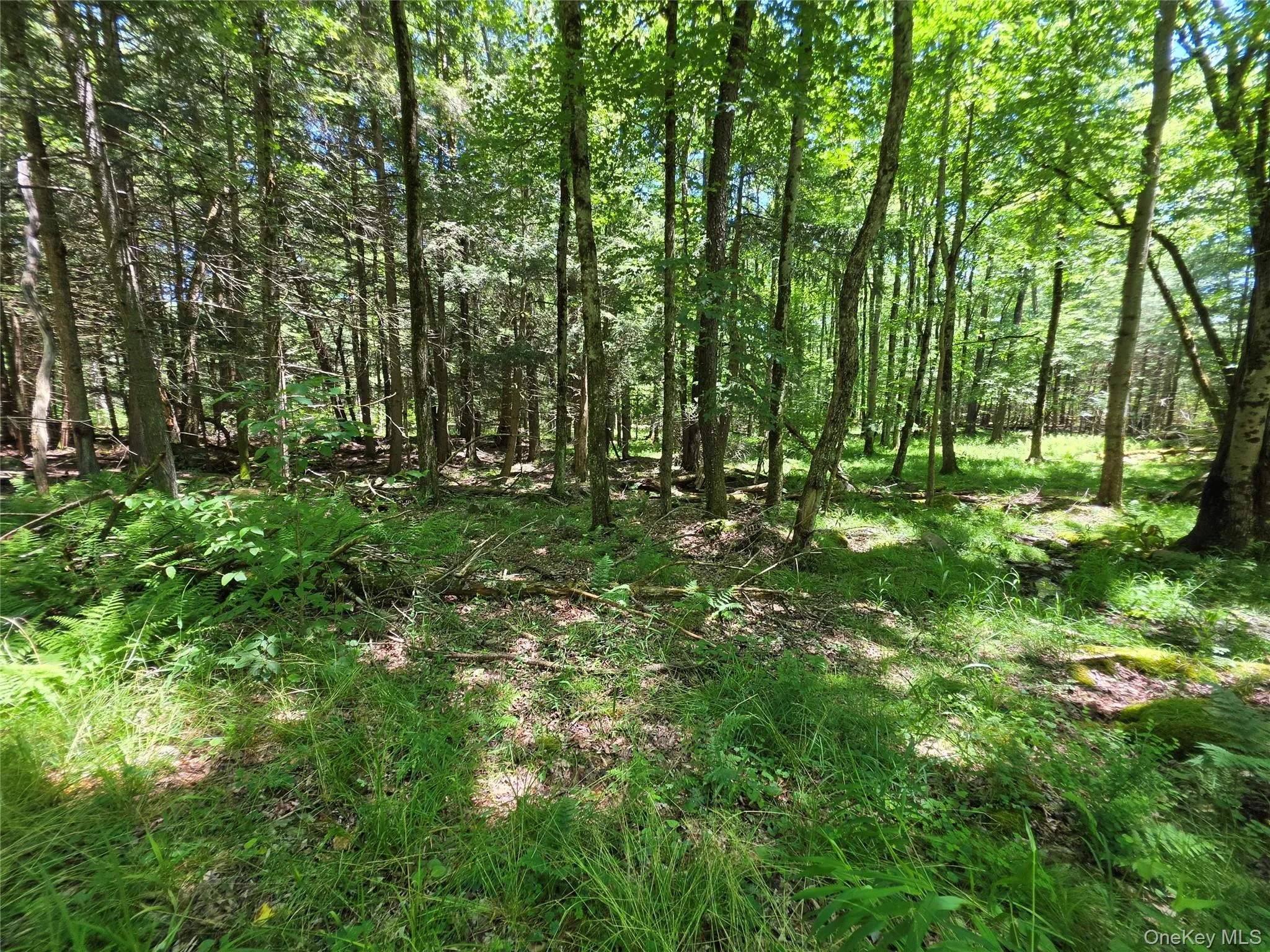 TBD Camp Kennybrook Road, Thompson, NY, ,Land,For Rent,Camp Kennybrook,0,1016537 TBD Camp Kennybrook Road, Thompson, NY, ,Land,For Rent,Camp Kennybrook,0,1016537