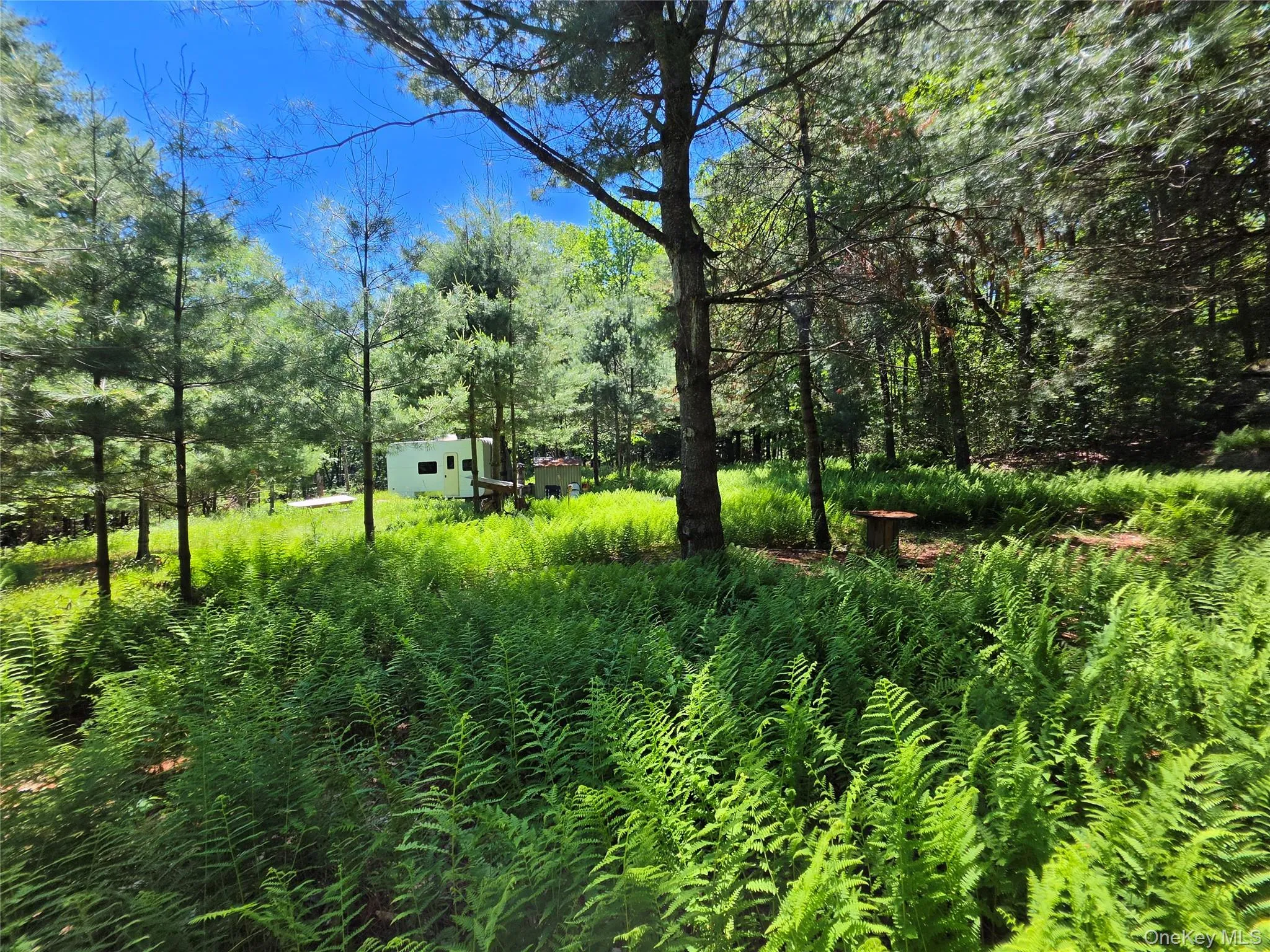 TBD Camp Kennybrook Road, Thompson, NY, ,Land,For Rent,Camp Kennybrook,0,1016537 TBD Camp Kennybrook Road, Thompson, NY, ,Land,For Rent,Camp Kennybrook,0,1016537