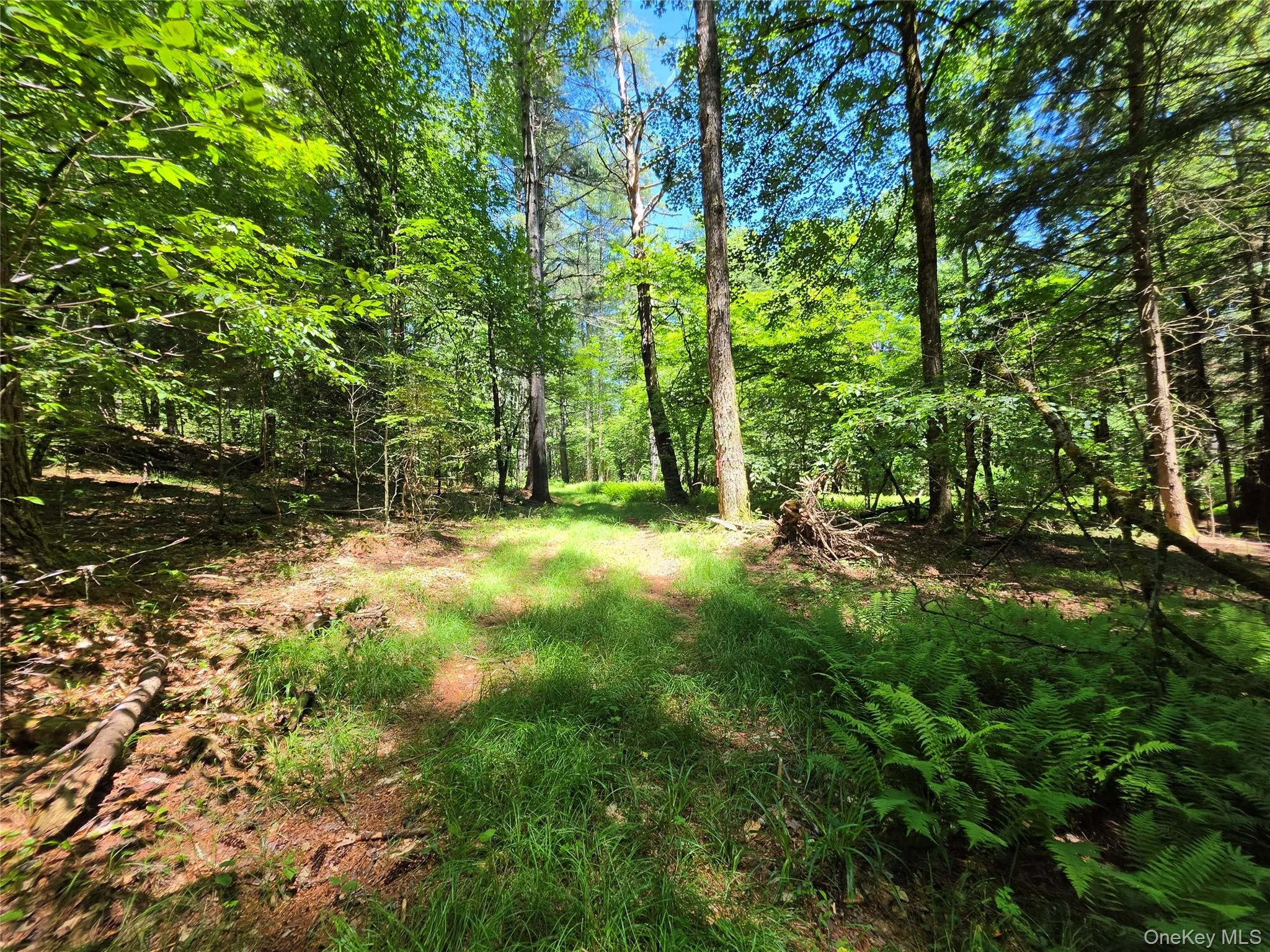 TBD Camp Kennybrook Road, Thompson, NY, ,Land,For Rent,Camp Kennybrook,0,1016537 TBD Camp Kennybrook Road, Thompson, NY, ,Land,For Rent,Camp Kennybrook,0,1016537