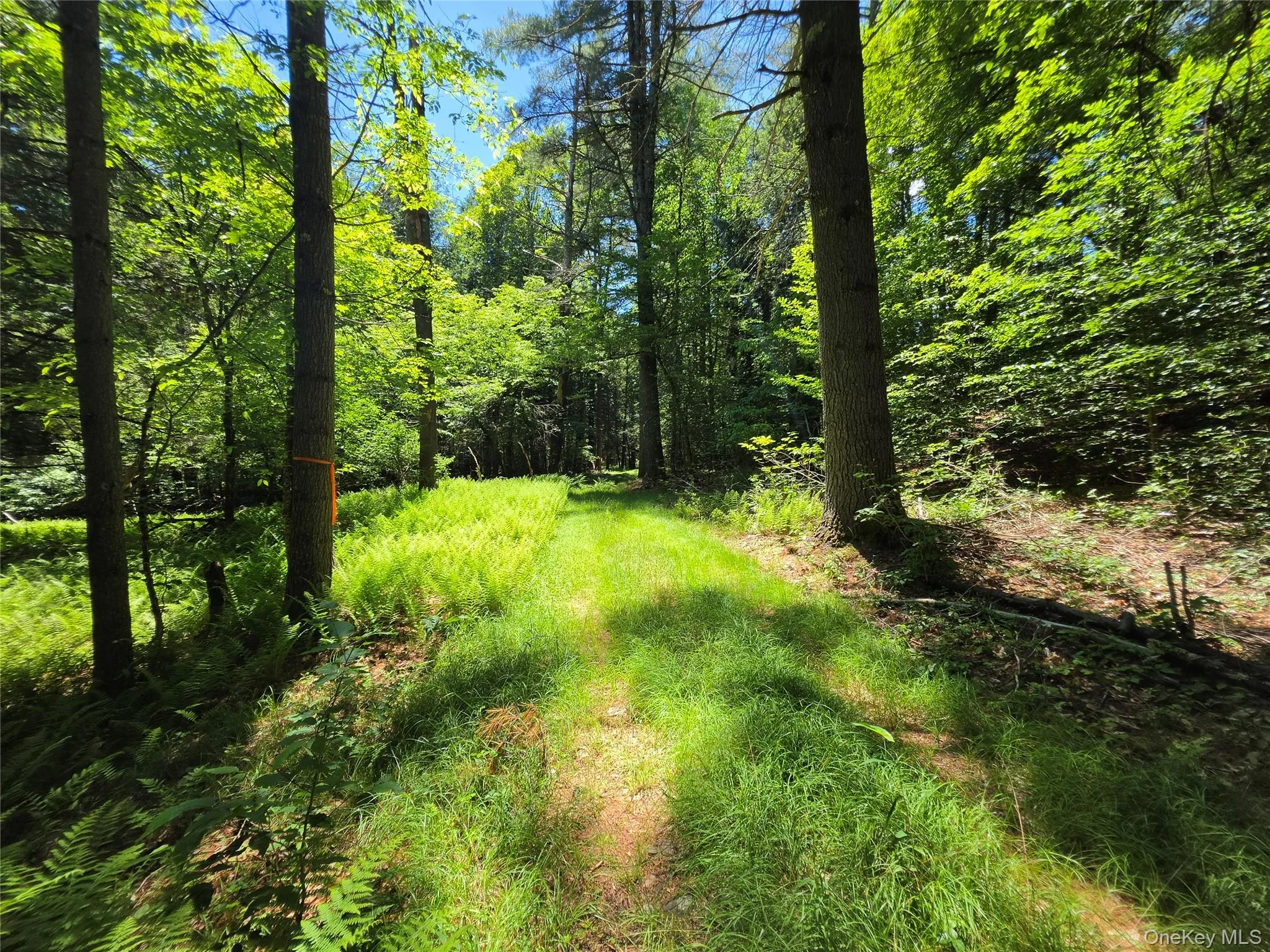 TBD Camp Kennybrook Road, Thompson, NY, ,Land,For Rent,Camp Kennybrook,0,1016537 TBD Camp Kennybrook Road, Thompson, NY, ,Land,For Rent,Camp Kennybrook,0,1016537