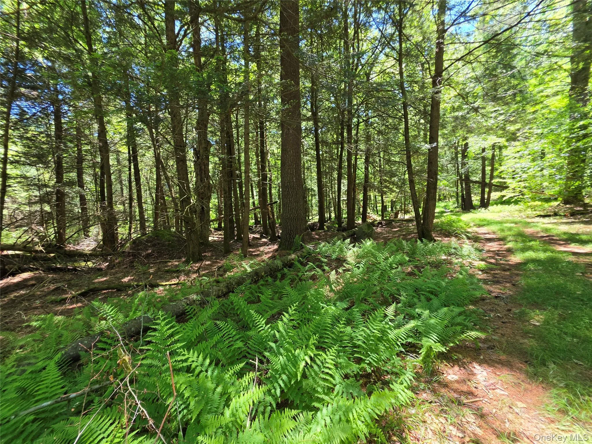 TBD Camp Kennybrook Road, Thompson, NY, ,Land,For Rent,Camp Kennybrook,0,1016537 TBD Camp Kennybrook Road, Thompson, NY, ,Land,For Rent,Camp Kennybrook,0,1016537
