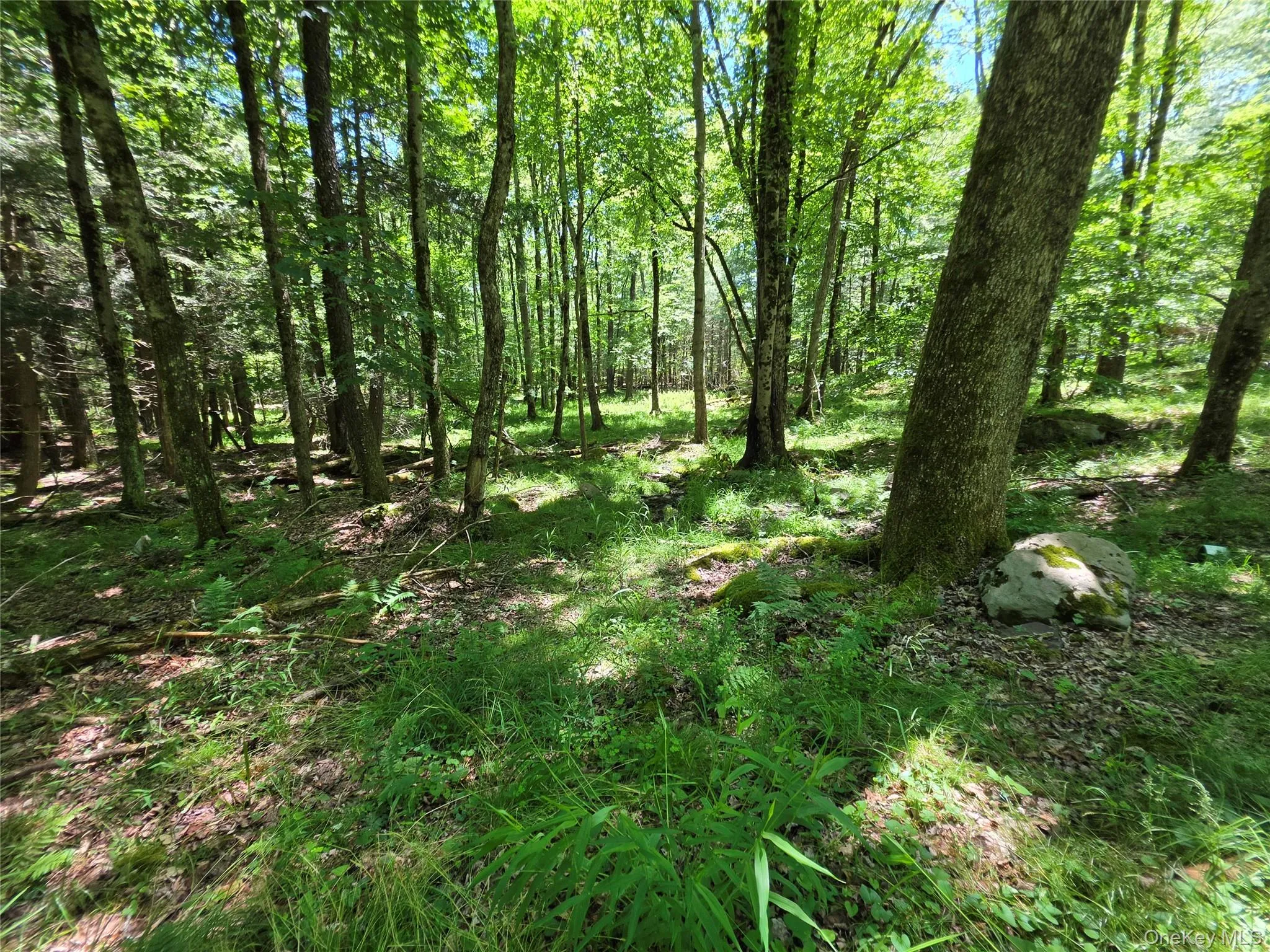 TBD Camp Kennybrook Road, Thompson, NY, ,Land,For Rent,Camp Kennybrook,0,1016537 TBD Camp Kennybrook Road, Thompson, NY, ,Land,For Rent,Camp Kennybrook,0,1016537