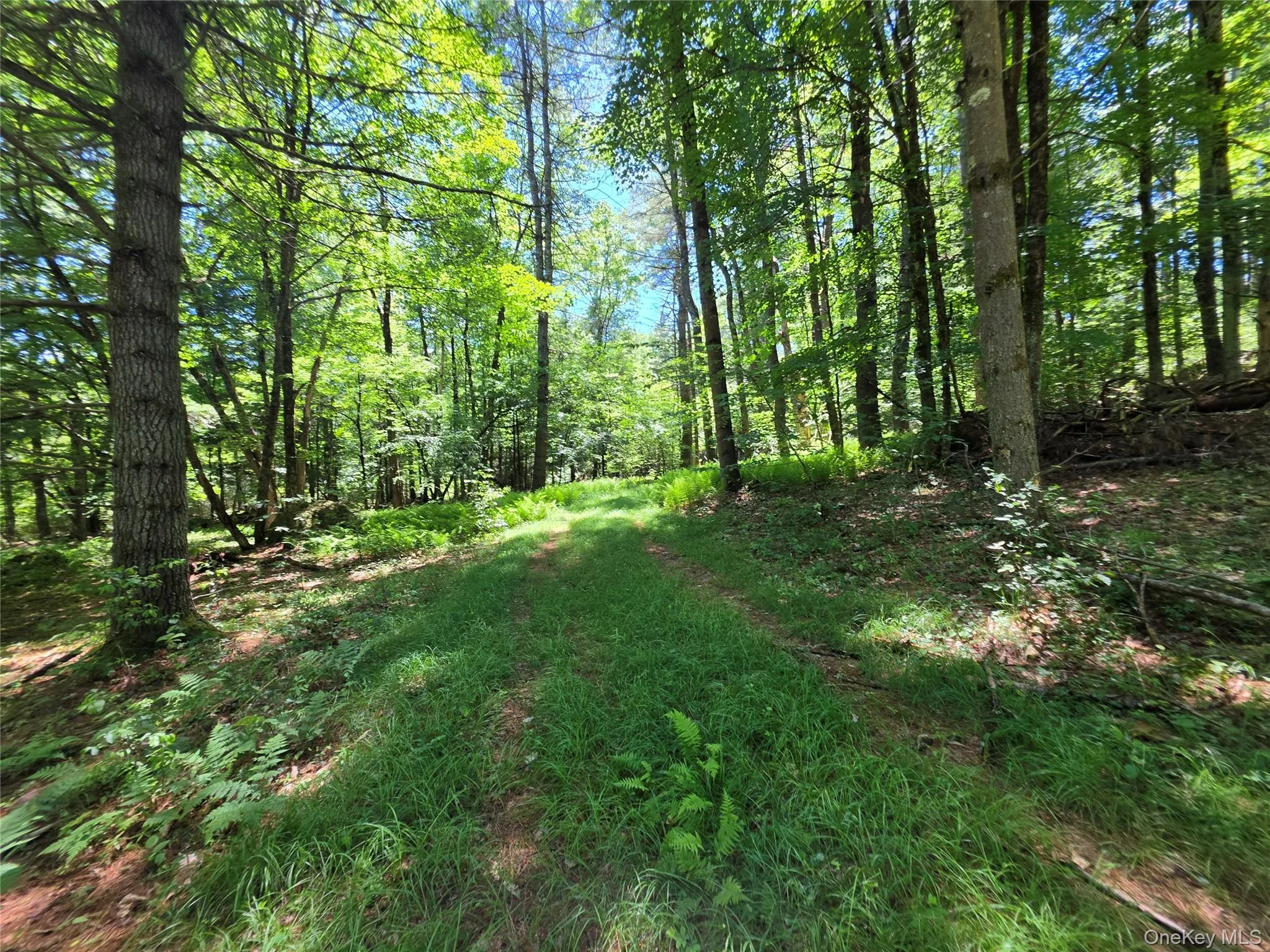 TBD Camp Kennybrook Road, Thompson, NY, ,Land,For Rent,Camp Kennybrook,0,1016537 TBD Camp Kennybrook Road, Thompson, NY, ,Land,For Rent,Camp Kennybrook,0,1016537