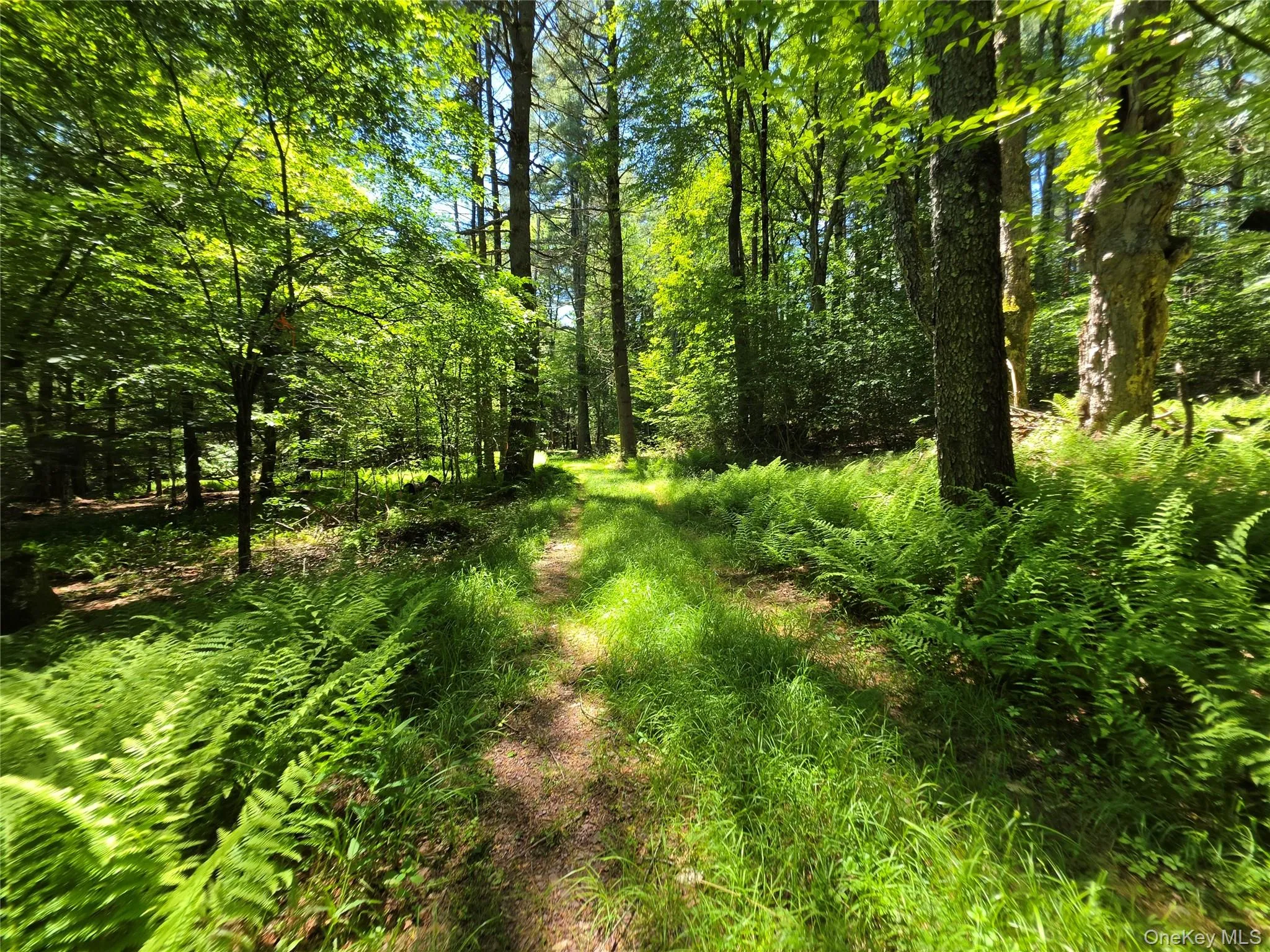 TBD Camp Kennybrook Road, Thompson, NY, ,Land,For Rent,Camp Kennybrook,0,1016537 TBD Camp Kennybrook Road, Thompson, NY, ,Land,For Rent,Camp Kennybrook,0,1016537