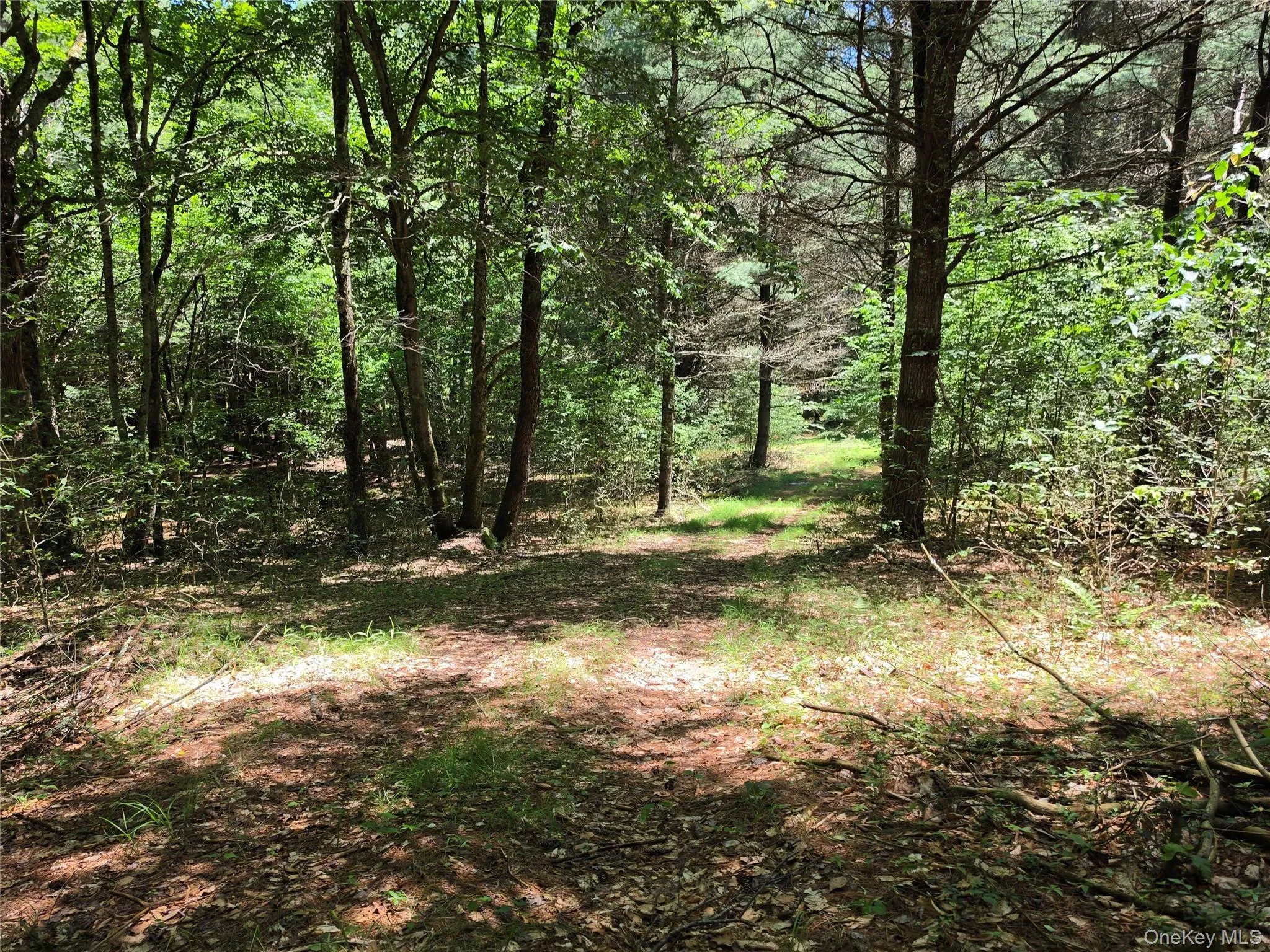 TBD Camp Kennybrook Road, Thompson, NY, ,Land,For Rent,Camp Kennybrook,0,1016537 TBD Camp Kennybrook Road, Thompson, NY, ,Land,For Rent,Camp Kennybrook,0,1016537
