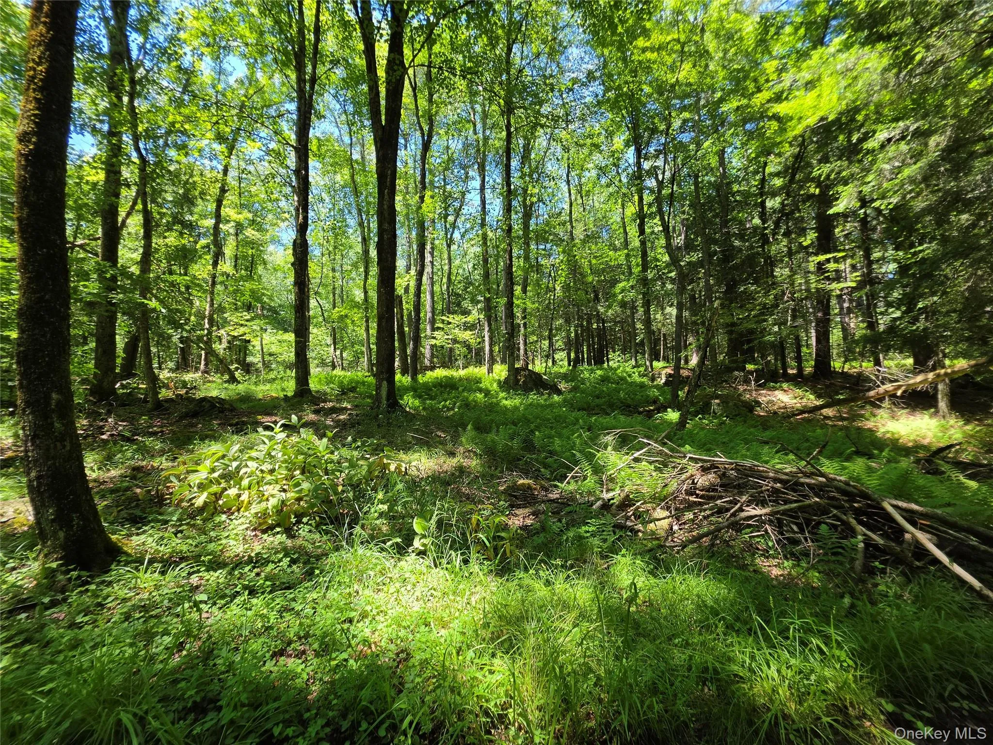 TBD Camp Kennybrook Road, Thompson, NY, ,Land,For Rent,Camp Kennybrook,0,1016537 TBD Camp Kennybrook Road, Thompson, NY, ,Land,For Rent,Camp Kennybrook,0,1016537