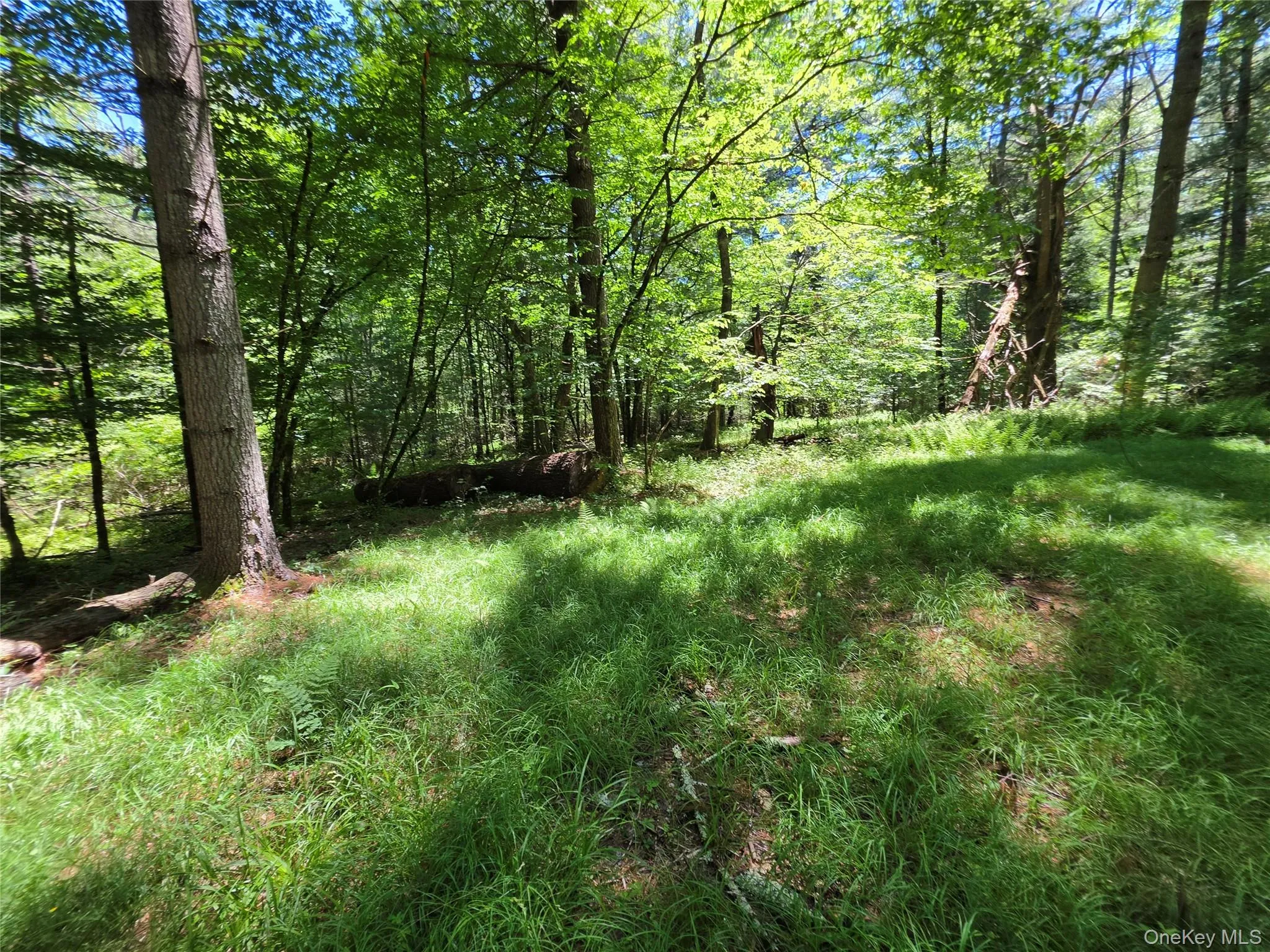 TBD Camp Kennybrook Road, Thompson, NY, ,Land,For Rent,Camp Kennybrook,0,1016537 TBD Camp Kennybrook Road, Thompson, NY, ,Land,For Rent,Camp Kennybrook,0,1016537