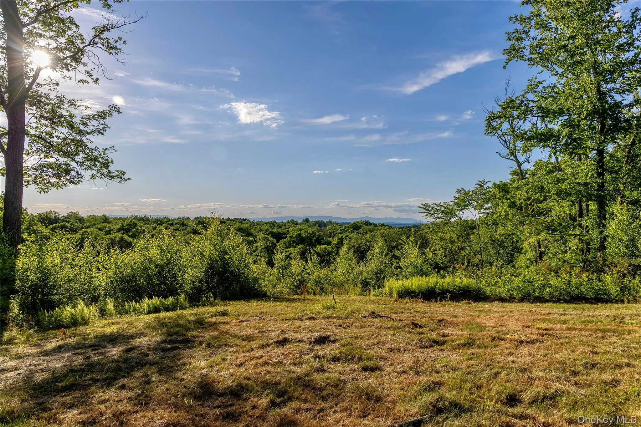 Mallory Road, Union Vale, NY, ,Land,For Rent,Mallory,0,1016545 Mallory Road, Union Vale, NY, ,Land,For Rent,Mallory,0,1016545