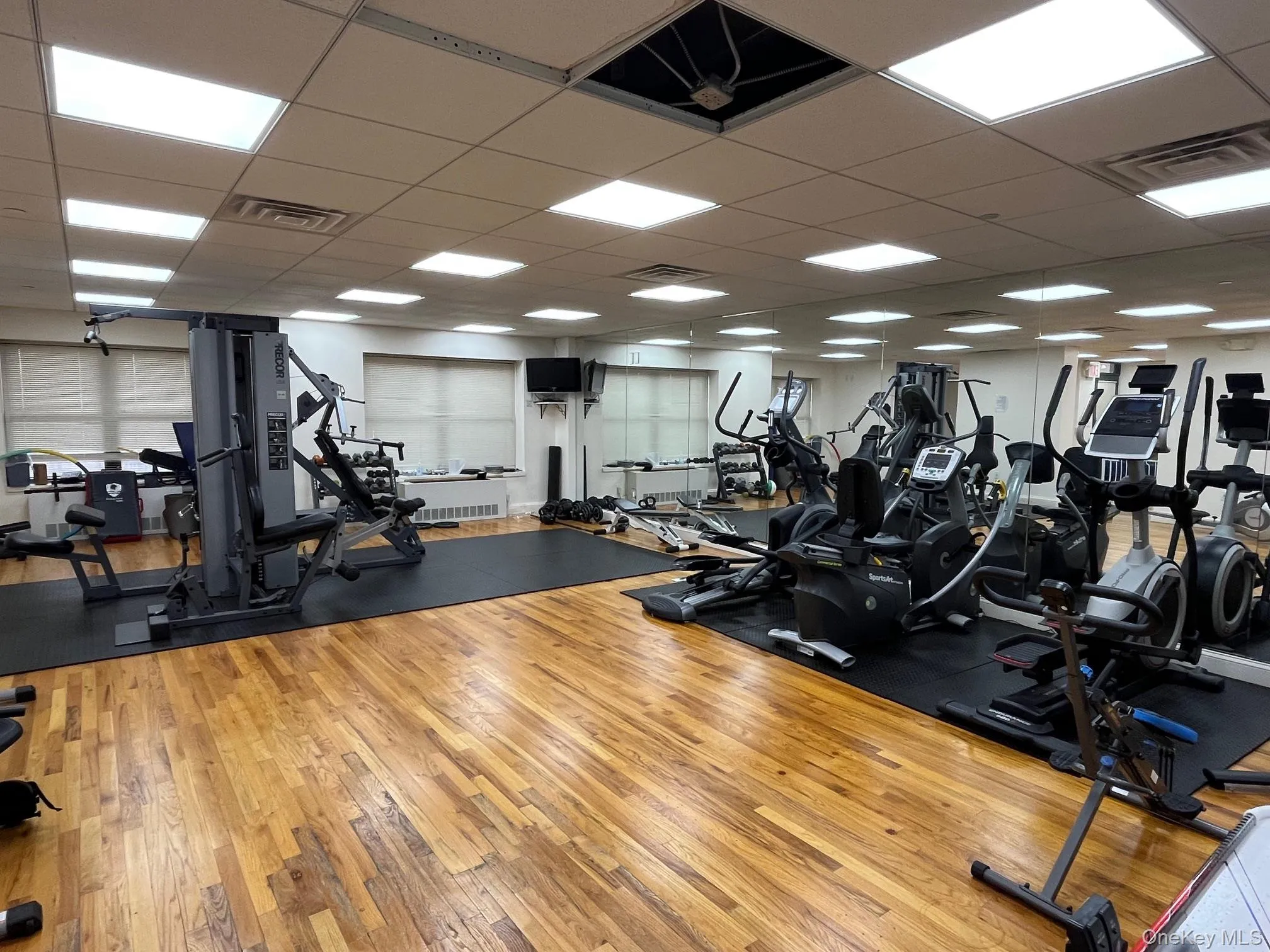 143-41 84th Drive, New York, NY, 1 Bedroom Bedrooms, 3 Rooms Rooms,1 BathroomBathrooms,Residential,For Rent,84th,0,1016562 143-41 84th Drive, New York, NY, 1 Bedroom Bedrooms, 3 Rooms Rooms,1 BathroomBathrooms,Residential,For Rent,84th,0,1016562
