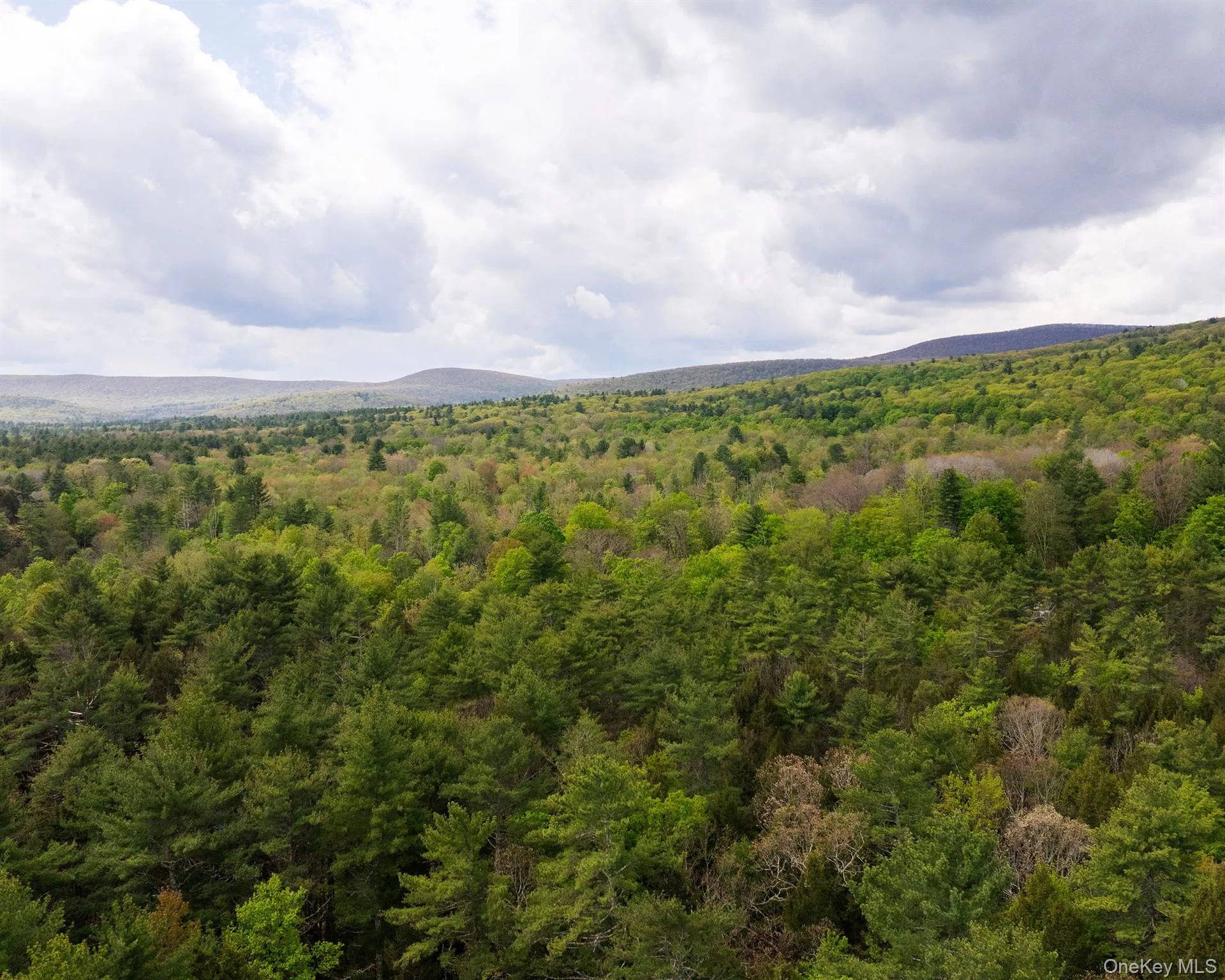 2013 County Road 3, Olive, NY, 3 Bedrooms Bedrooms, 10 Rooms Rooms,2 BathroomsBathrooms,Residential,For Rent,County Road 3,0,KEY1016566 2013 County Road 3, Olive, NY, 3 Bedrooms Bedrooms, 10 Rooms Rooms,2 BathroomsBathrooms,Residential,For Rent,County Road 3,0,KEY1016566