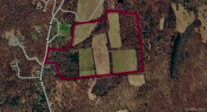 Aerial View Aerial View