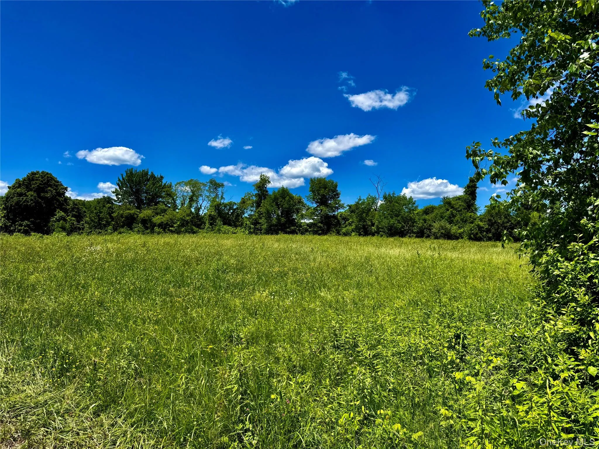 Field Number 5# Field Number 5#