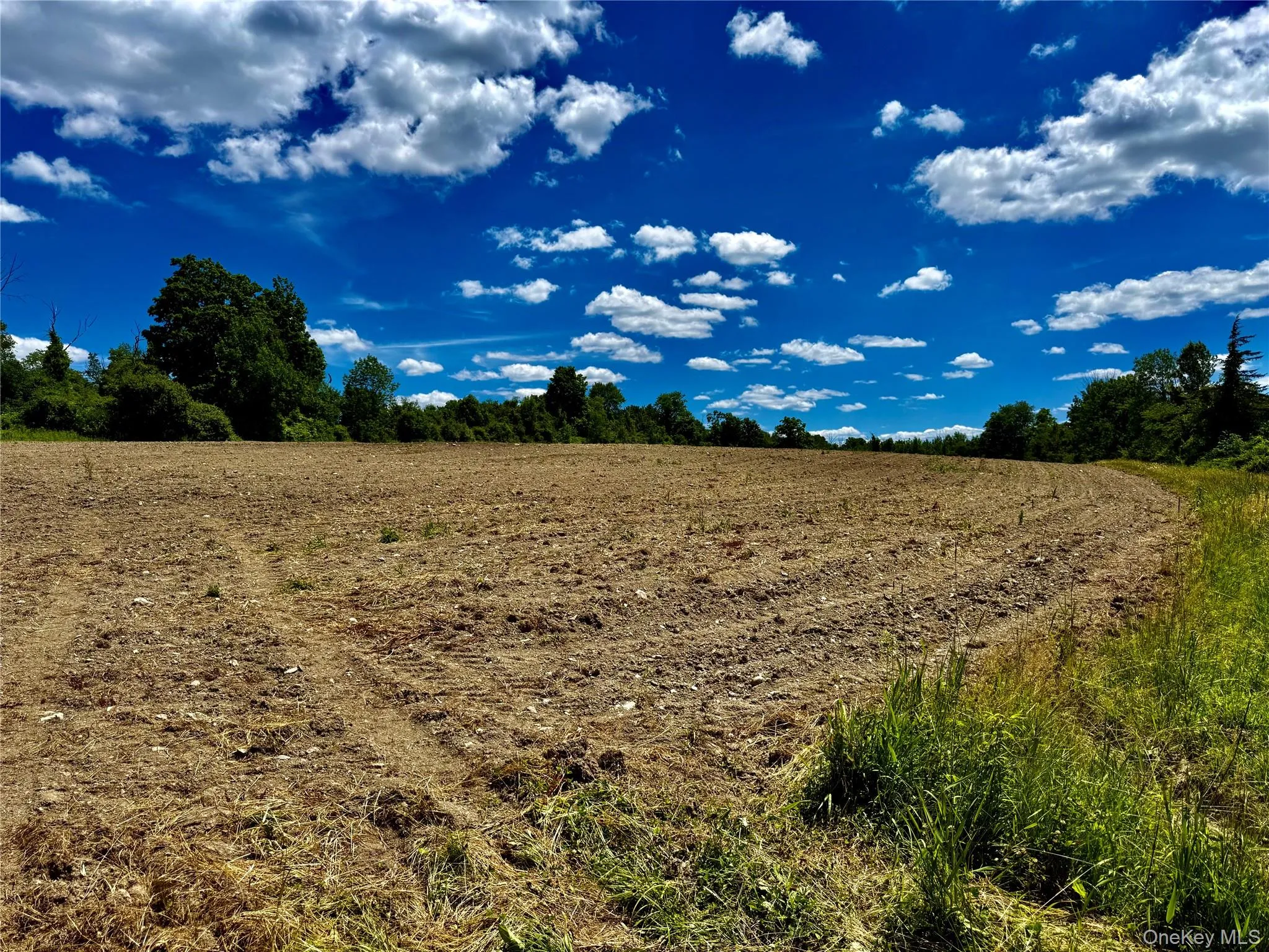 Field Number 2# Field Number 2#