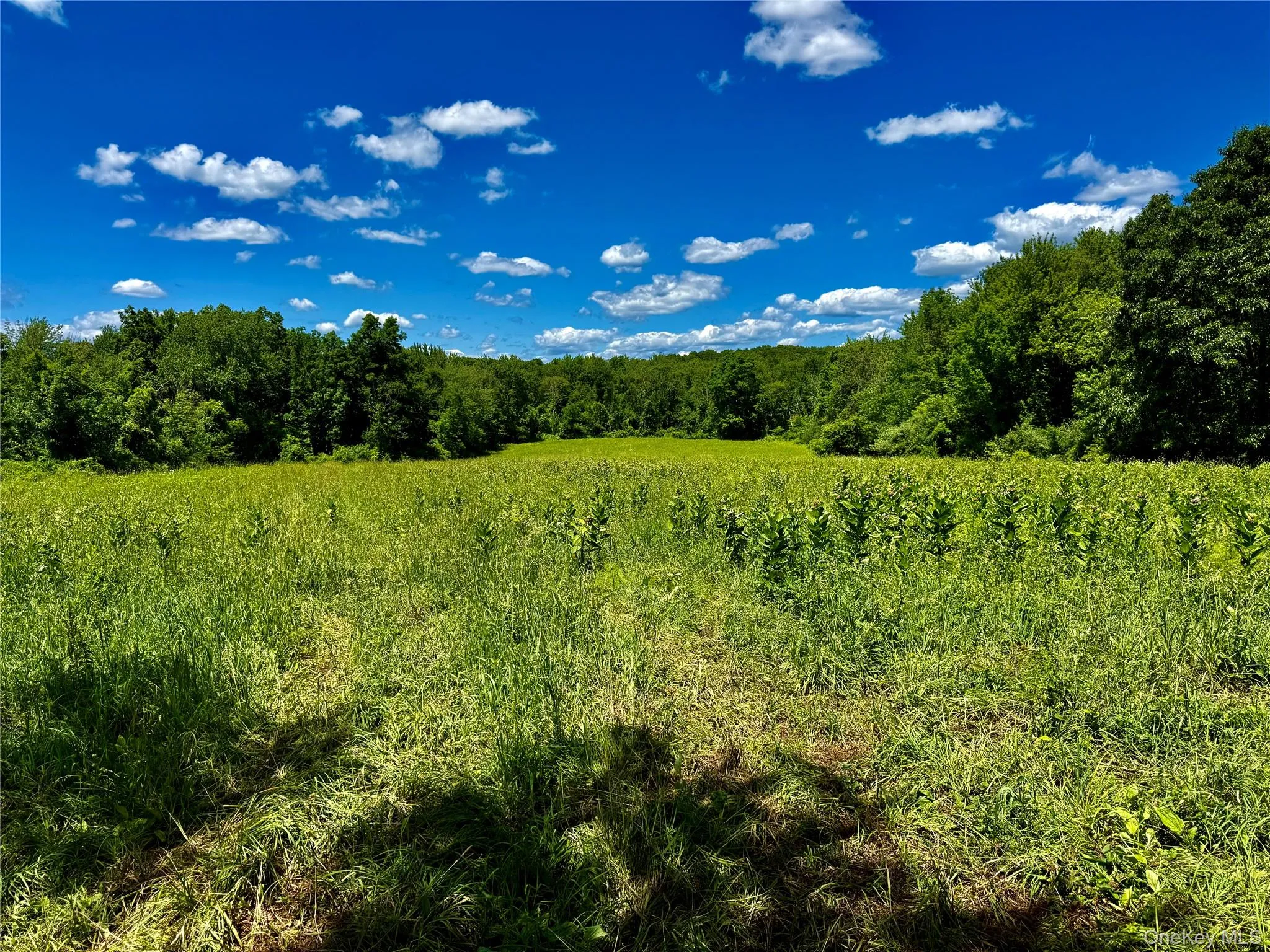 Field Number 4# Field Number 4#