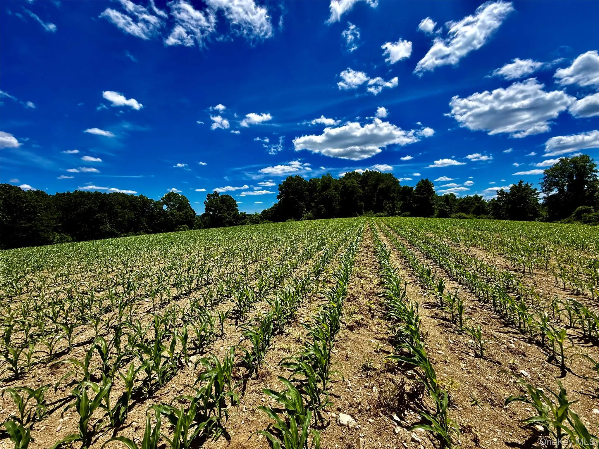 Field Number 3# Field Number 3#