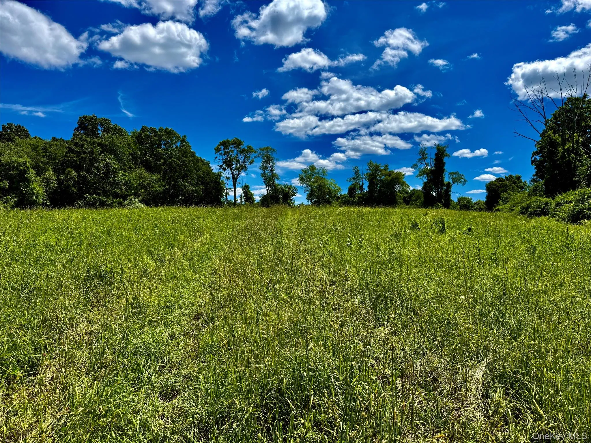 Field Number 4# Field Number 4#