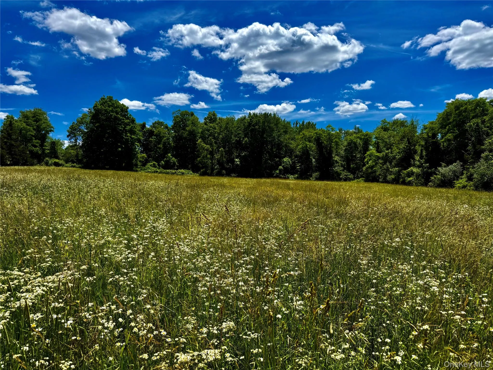Field Number 1# Field Number 1#