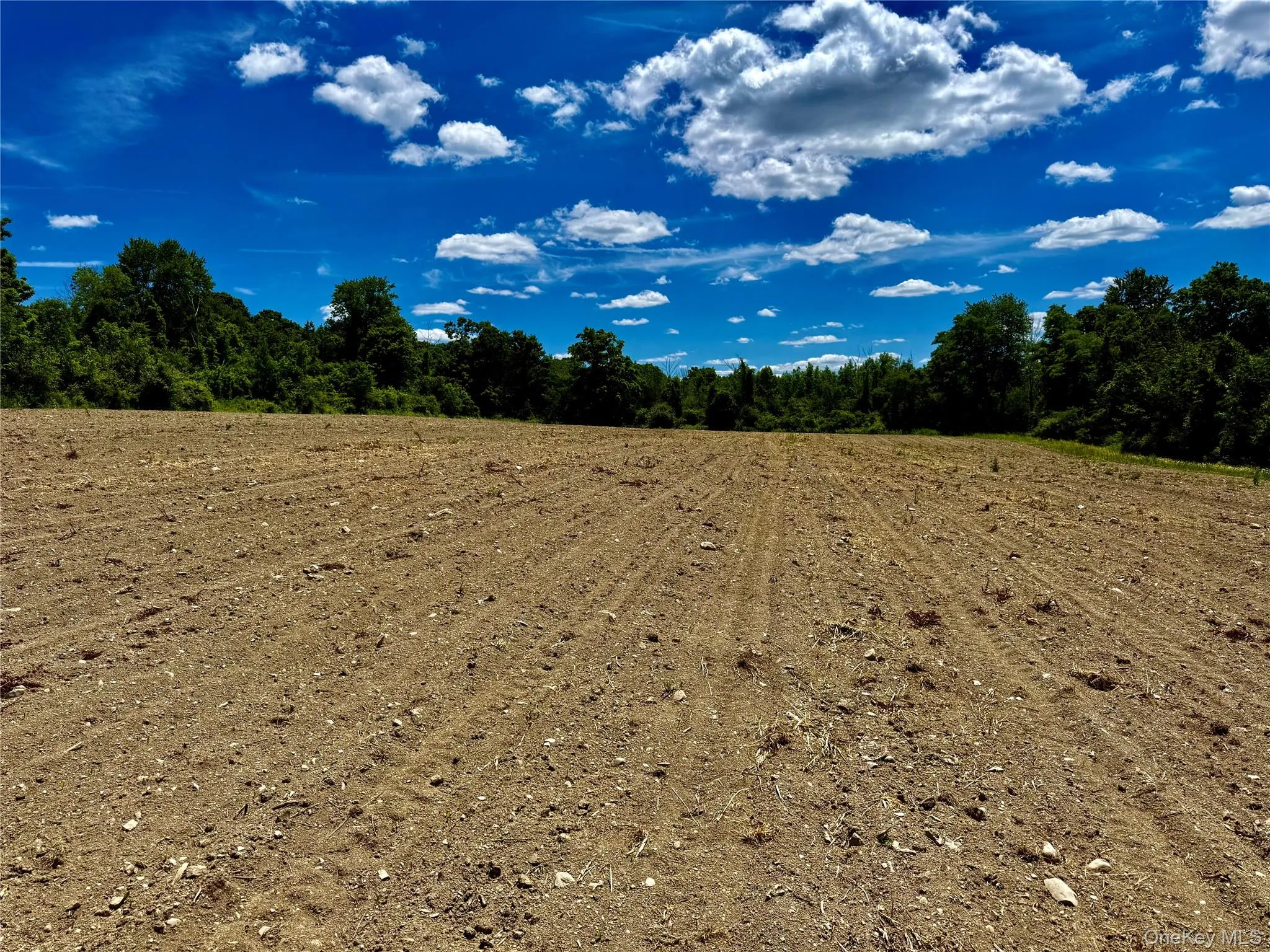 Field Number 2# Field Number 2#