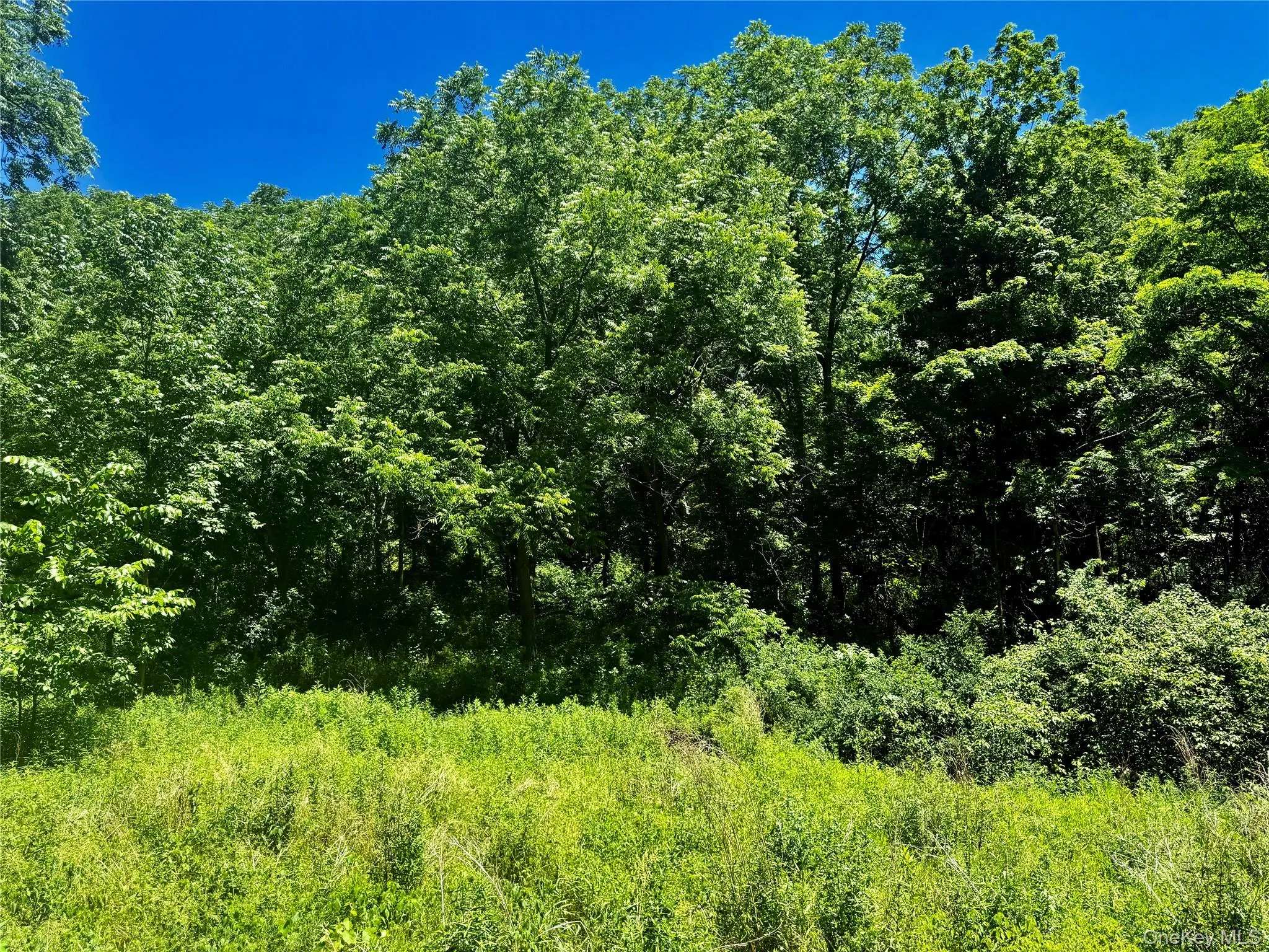 Road Frontage Road Frontage