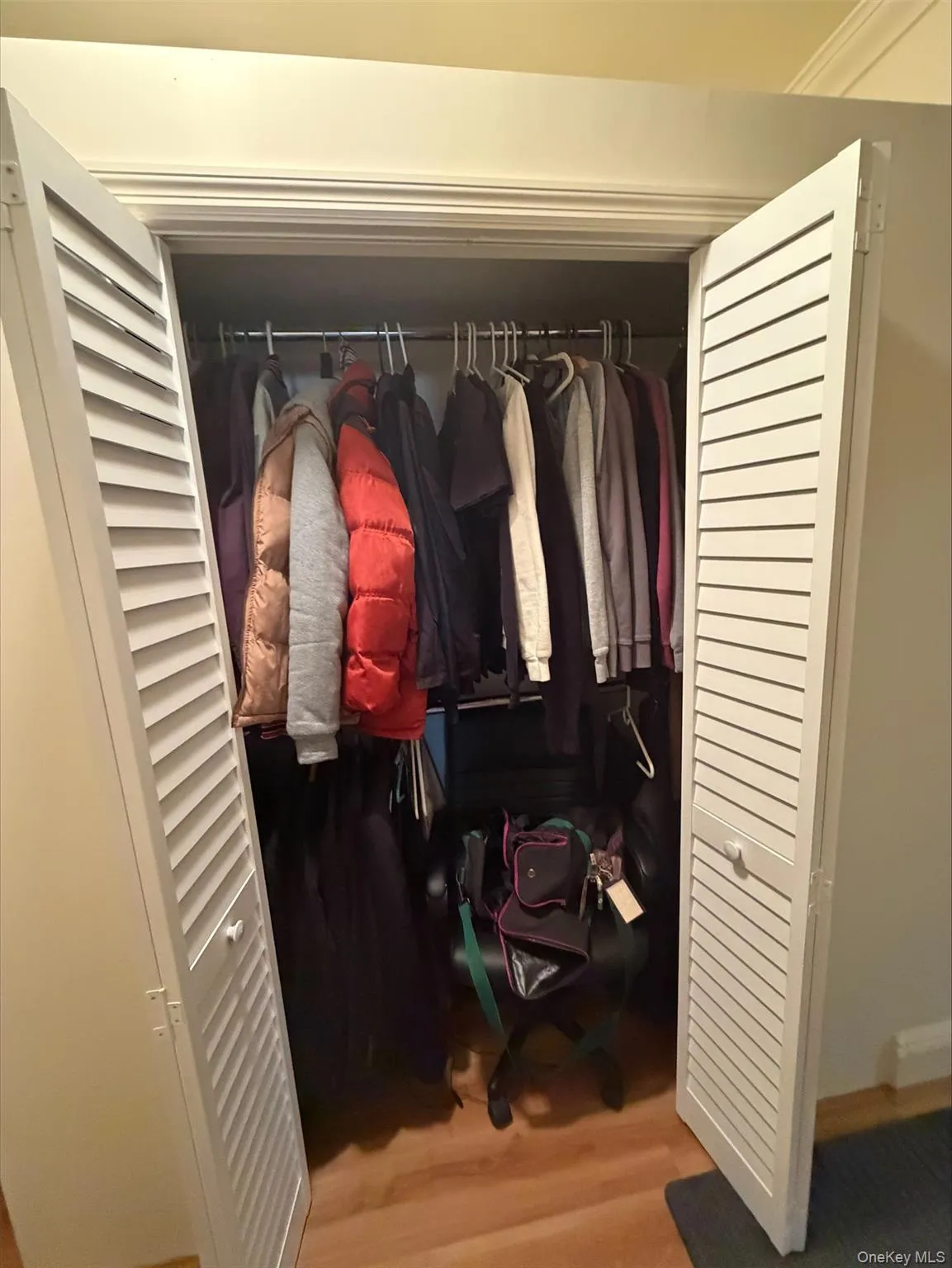 475 Bronx River Road, Yonkers, NY, 4 Rooms Rooms,1 BathroomBathrooms,Residential,For Rent,Bronx River,0,1016601 475 Bronx River Road, Yonkers, NY, 4 Rooms Rooms,1 BathroomBathrooms,Residential,For Rent,Bronx River,0,1016601