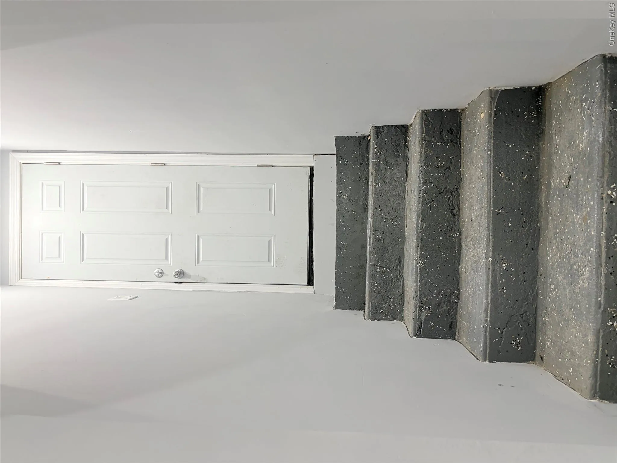 BACK ENTRANCE TO BASEMENT BACK ENTRANCE TO BASEMENT