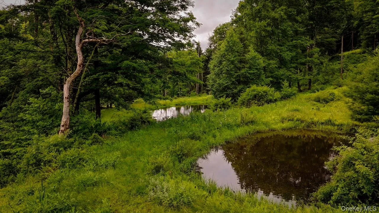 385 Sundown Road, Neversink, NY, 2 Bedrooms Bedrooms, 4 Rooms Rooms,2 BathroomsBathrooms,Residential,For Rent,Sundown,0,1016624 385 Sundown Road, Neversink, NY, 2 Bedrooms Bedrooms, 4 Rooms Rooms,2 BathroomsBathrooms,Residential,For Rent,Sundown,0,1016624