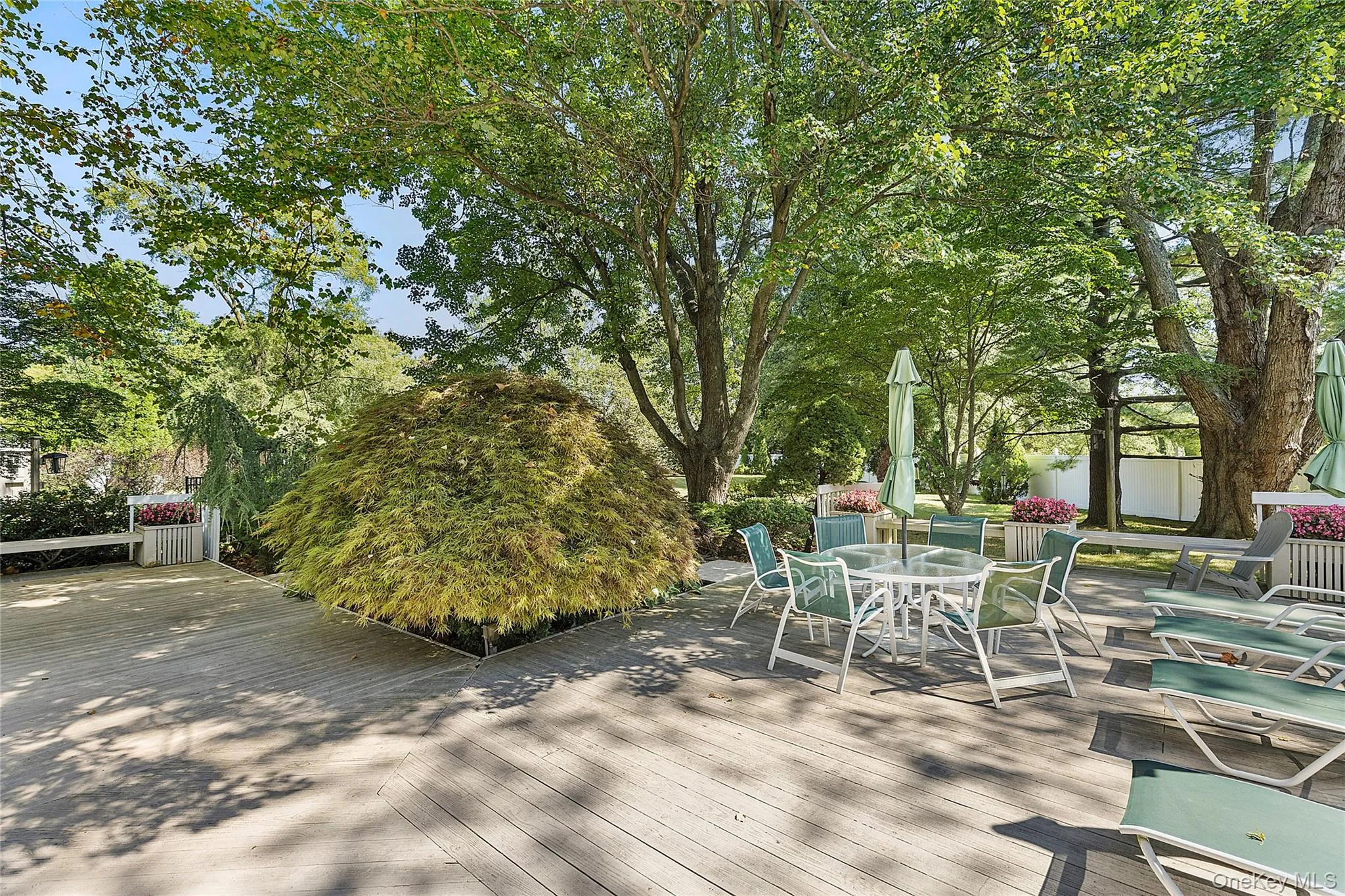 Expansive Deck Expansive Deck