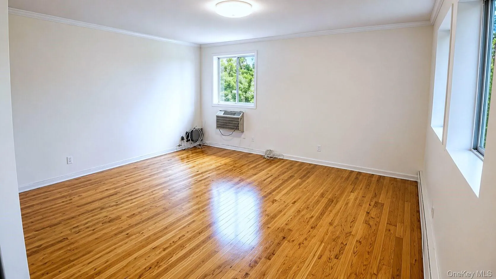 81-64 102nd Avenue, New York, NY, 3 Bedrooms Bedrooms, 6 Rooms Rooms,1 BathroomBathrooms,Residential Lease,For Rent,102nd,0,1016657 81-64 102nd Avenue, New York, NY, 3 Bedrooms Bedrooms, 6 Rooms Rooms,1 BathroomBathrooms,Residential Lease,For Rent,102nd,0,1016657