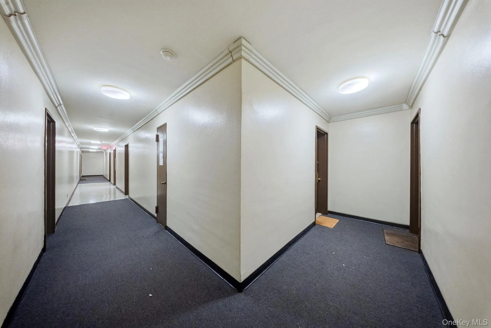 250 N Broadway, Yonkers, NY, 1 Bedroom Bedrooms, 3 Rooms Rooms,1 BathroomBathrooms,Residential,For Rent,N Broadway,0,1016689 250 N Broadway, Yonkers, NY, 1 Bedroom Bedrooms, 3 Rooms Rooms,1 BathroomBathrooms,Residential,For Rent,N Broadway,0,1016689
