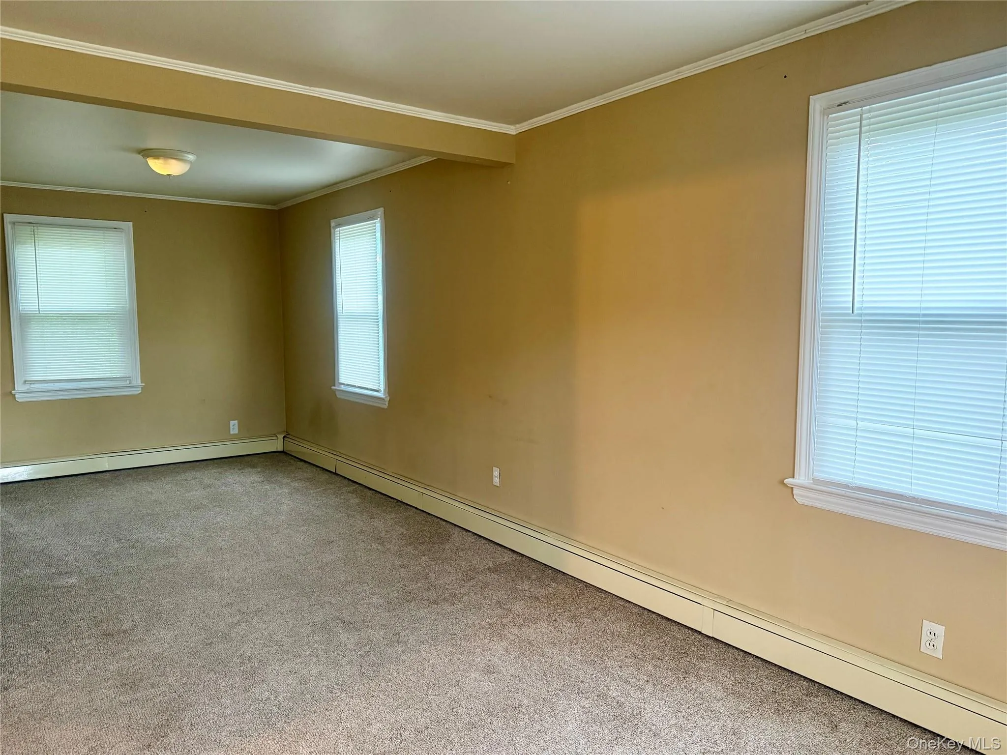 1777 Stone Avenue, Hempstead, NY, 1 Bedroom Bedrooms, 3 Rooms Rooms,1 BathroomBathrooms,Residential Lease,For Rent,Stone,0,1016690 1777 Stone Avenue, Hempstead, NY, 1 Bedroom Bedrooms, 3 Rooms Rooms,1 BathroomBathrooms,Residential Lease,For Rent,Stone,0,1016690