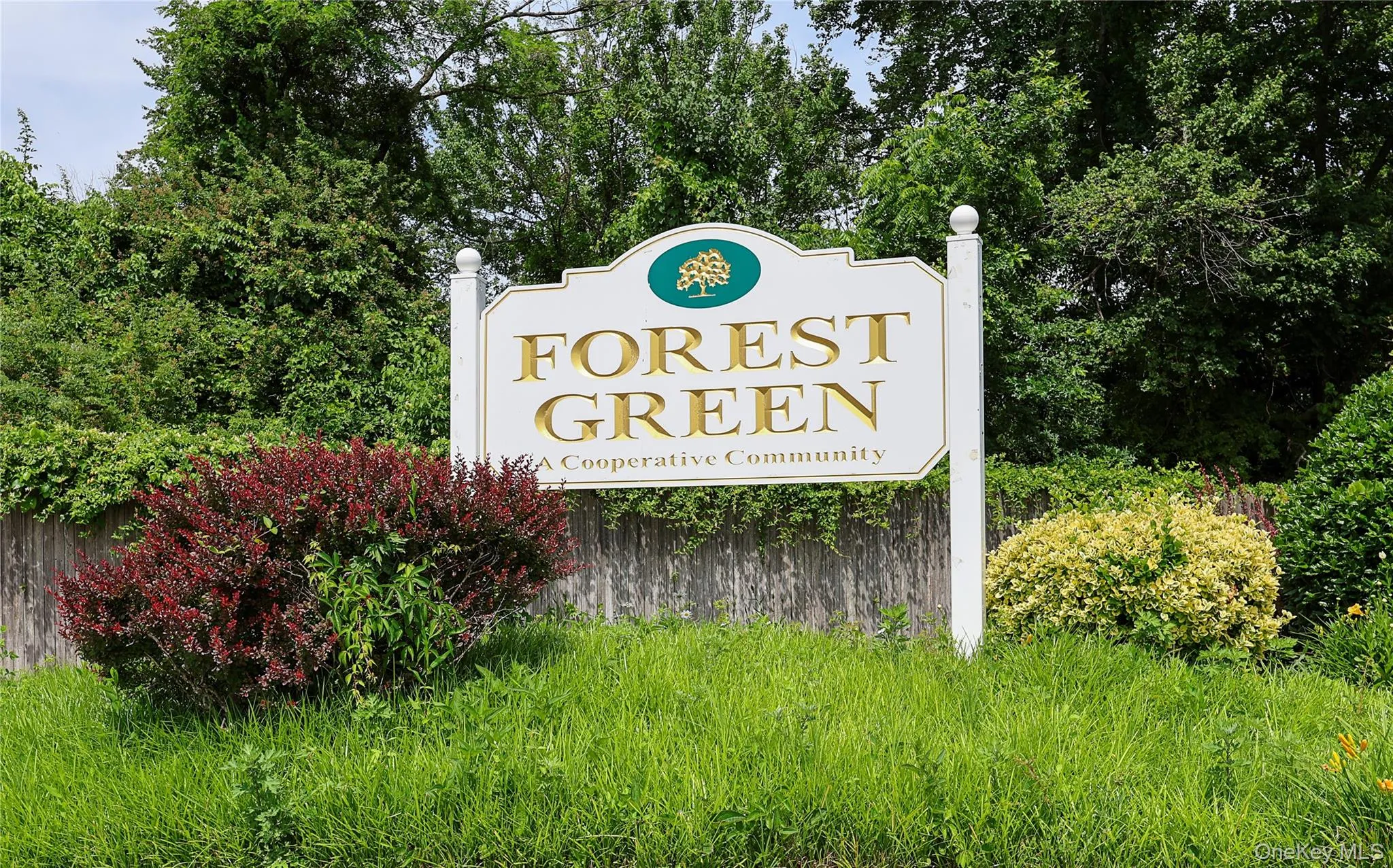 2423 Union Boulevard, Islip, NY, 2 Bedrooms Bedrooms, 5 Rooms Rooms,1 BathroomBathrooms,Residential,For Rent,Union,0,1016715 2423 Union Boulevard, Islip, NY, 2 Bedrooms Bedrooms, 5 Rooms Rooms,1 BathroomBathrooms,Residential,For Rent,Union,0,1016715