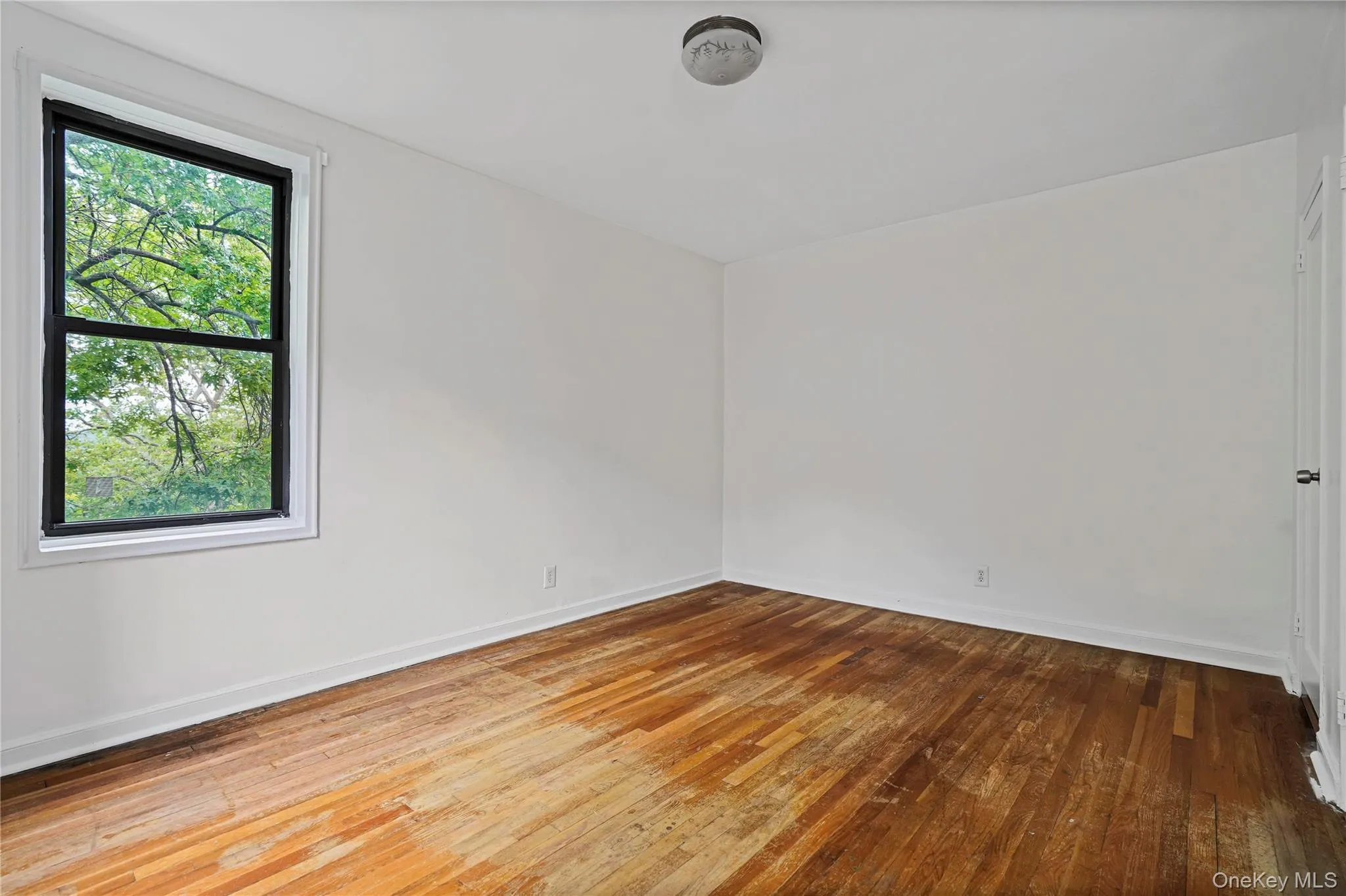2280 Burnett Street, New York, NY, 2 Bedrooms Bedrooms, 4 Rooms Rooms,1 BathroomBathrooms,Residential,For Rent,Burnett,0,1016767 2280 Burnett Street, New York, NY, 2 Bedrooms Bedrooms, 4 Rooms Rooms,1 BathroomBathrooms,Residential,For Rent,Burnett,0,1016767