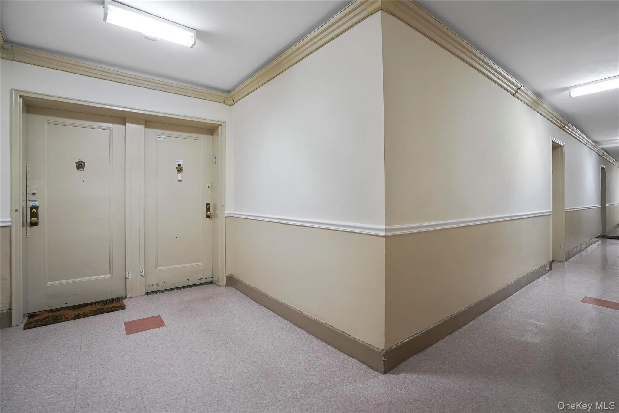 2280 Burnett Street, New York, NY, 2 Bedrooms Bedrooms, 4 Rooms Rooms,1 BathroomBathrooms,Residential,For Rent,Burnett,0,1016767 2280 Burnett Street, New York, NY, 2 Bedrooms Bedrooms, 4 Rooms Rooms,1 BathroomBathrooms,Residential,For Rent,Burnett,0,1016767