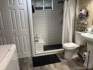 Remodeled bath on lower level Remodeled bath on lower level