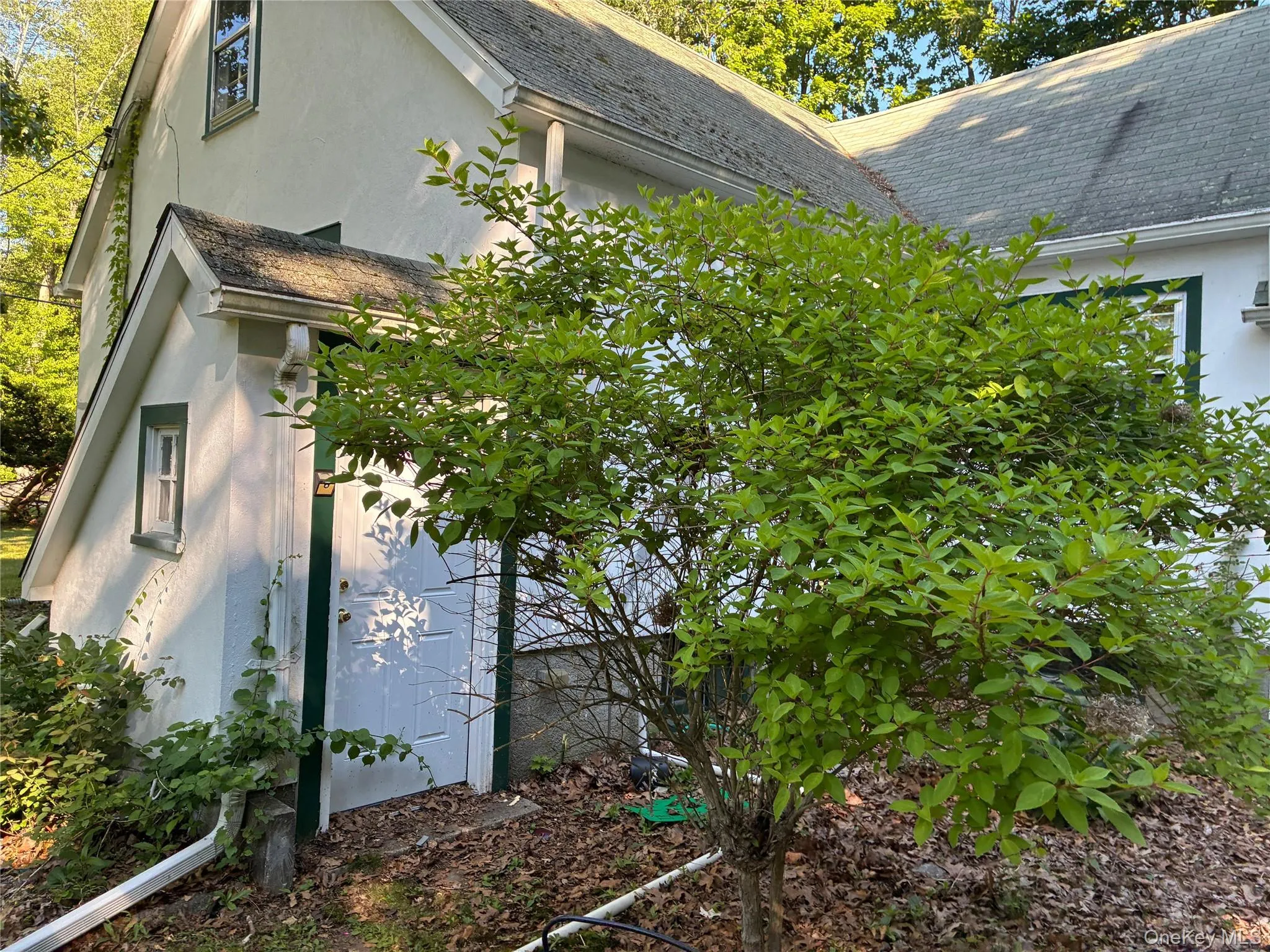 46 Greenwich Road, Bedford, NY, 3 Bedrooms Bedrooms, 6 Rooms Rooms,1 BathroomBathrooms,Residential,For Rent,Greenwich,0,1016847 46 Greenwich Road, Bedford, NY, 3 Bedrooms Bedrooms, 6 Rooms Rooms,1 BathroomBathrooms,Residential,For Rent,Greenwich,0,1016847