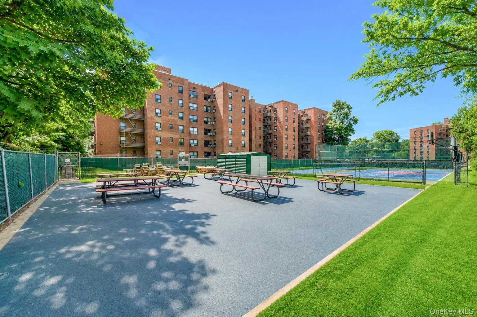 212-12 73rd, New York, NY, 1 Bedroom Bedrooms, 3 Rooms Rooms,1 BathroomBathrooms,Residential,For Rent,73rd,0,1016850 212-12 73rd, New York, NY, 1 Bedroom Bedrooms, 3 Rooms Rooms,1 BathroomBathrooms,Residential,For Rent,73rd,0,1016850