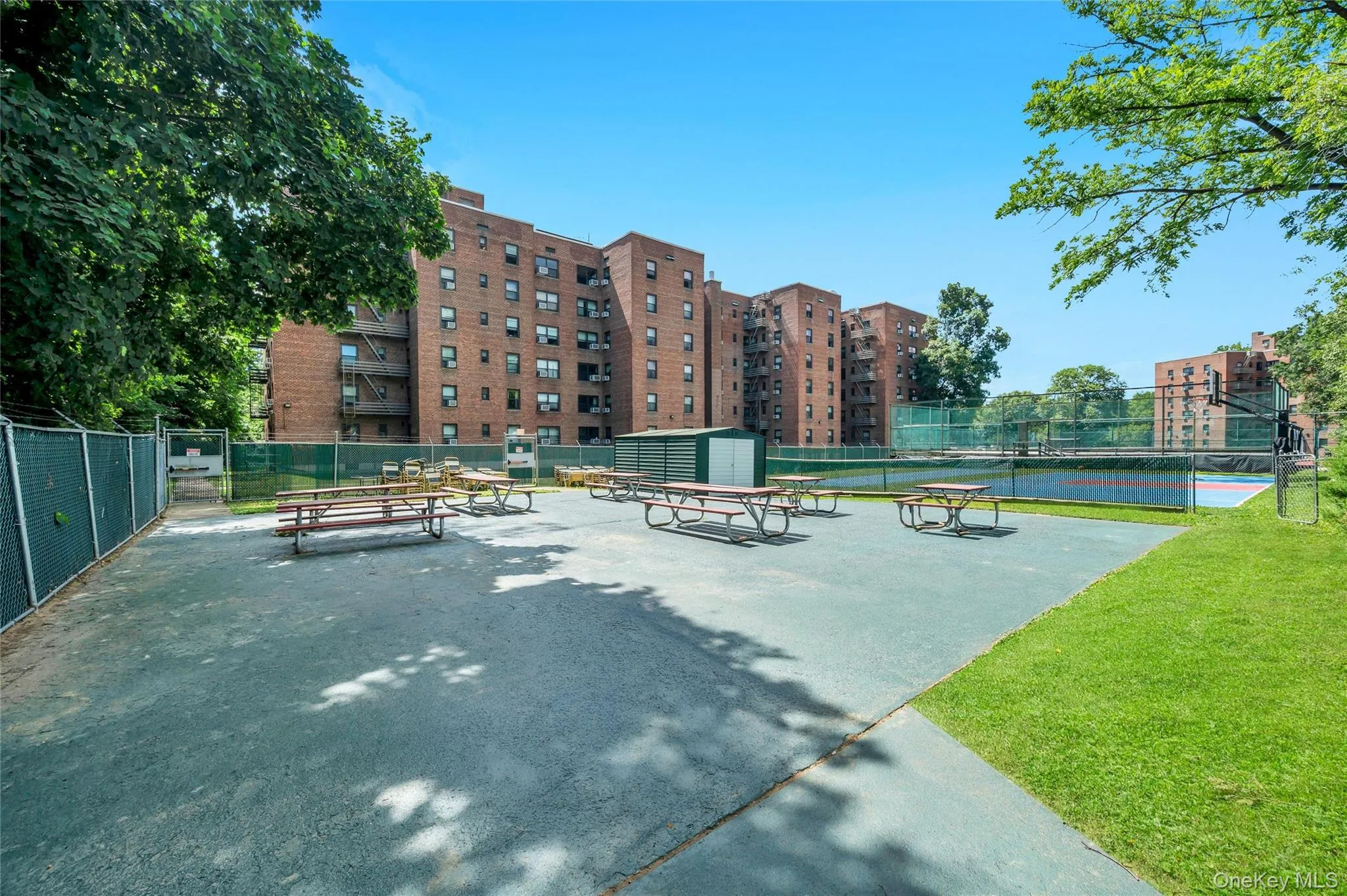 212-12 73rd, New York, NY, 1 Bedroom Bedrooms, 3 Rooms Rooms,1 BathroomBathrooms,Residential,For Rent,73rd,0,1016850 212-12 73rd, New York, NY, 1 Bedroom Bedrooms, 3 Rooms Rooms,1 BathroomBathrooms,Residential,For Rent,73rd,0,1016850