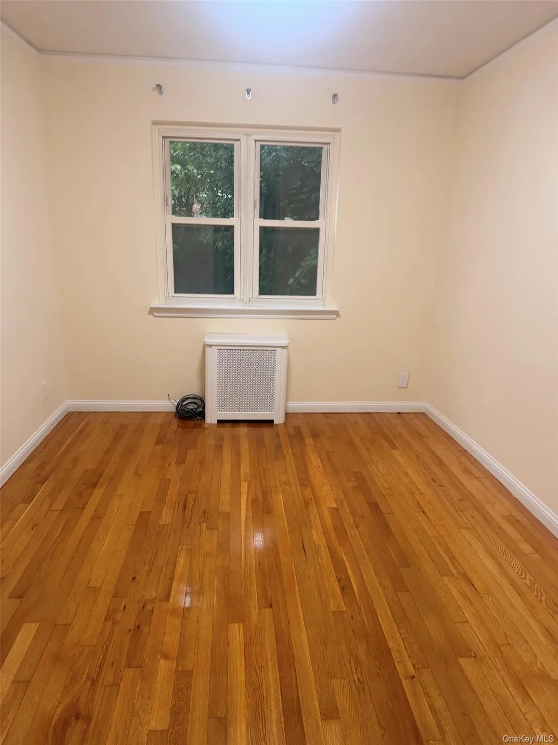 76-41 170th Street, New York, NY, 2 Bedrooms Bedrooms, 5 Rooms Rooms,1 BathroomBathrooms,Residential Lease,For Rent,170th,0,1016854 76-41 170th Street, New York, NY, 2 Bedrooms Bedrooms, 5 Rooms Rooms,1 BathroomBathrooms,Residential Lease,For Rent,170th,0,1016854
