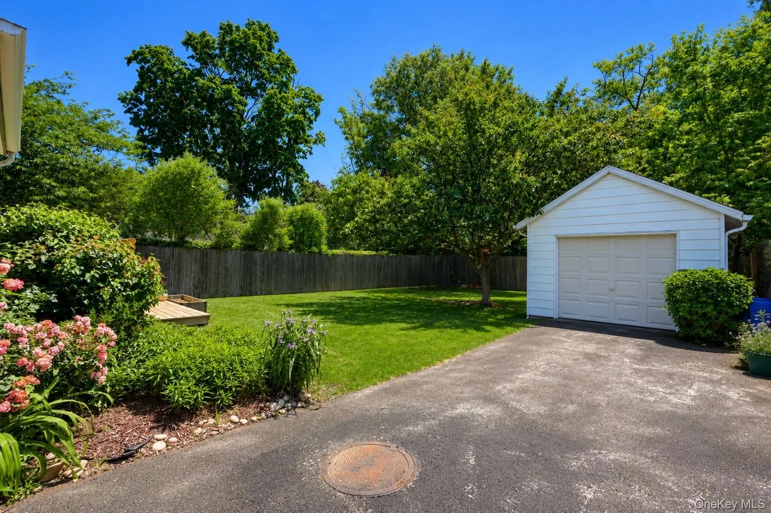 Beautiful backyard with detached garage and expansive driveway Beautiful backyard with detached garage and expansive driveway