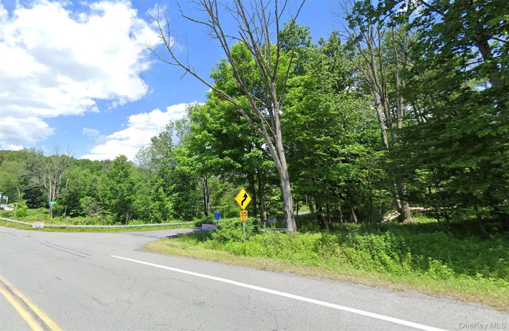 Edwards Road, Thompson, NY, ,Land,For Rent,Edwards,0,1016859 Edwards Road, Thompson, NY, ,Land,For Rent,Edwards,0,1016859