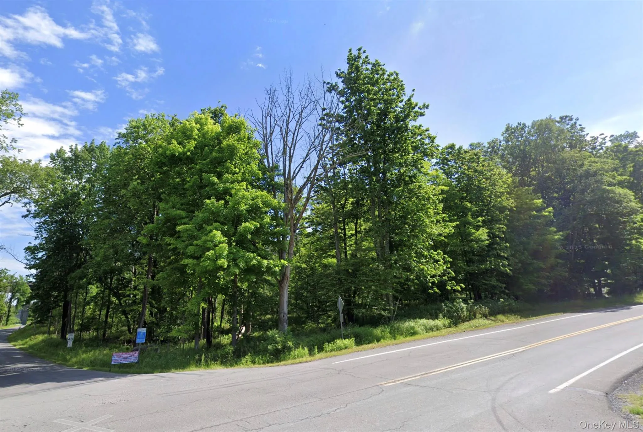 Edwards Road, Thompson, NY, ,Land,For Rent,Edwards,0,1016859 Edwards Road, Thompson, NY, ,Land,For Rent,Edwards,0,1016859
