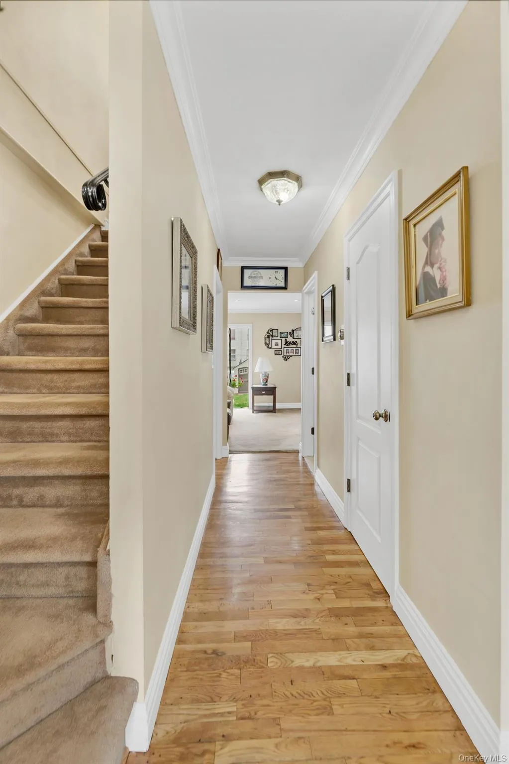 2137 Clinton Avenue, New York, NY, 3 Bedrooms Bedrooms, 6 Rooms Rooms,1 BathroomBathrooms,Residential,For Rent,Clinton,0,1016881 2137 Clinton Avenue, New York, NY, 3 Bedrooms Bedrooms, 6 Rooms Rooms,1 BathroomBathrooms,Residential,For Rent,Clinton,0,1016881