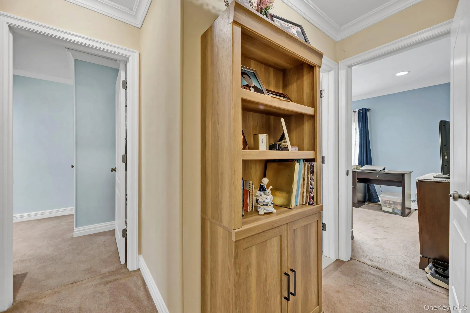 2137 Clinton Avenue, New York, NY, 3 Bedrooms Bedrooms, 6 Rooms Rooms,1 BathroomBathrooms,Residential,For Rent,Clinton,0,1016881 2137 Clinton Avenue, New York, NY, 3 Bedrooms Bedrooms, 6 Rooms Rooms,1 BathroomBathrooms,Residential,For Rent,Clinton,0,1016881